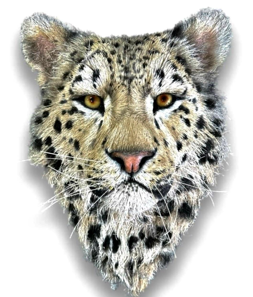 American Anne Andersson Sisal Fiber Snow Leopard 2006 For Sale