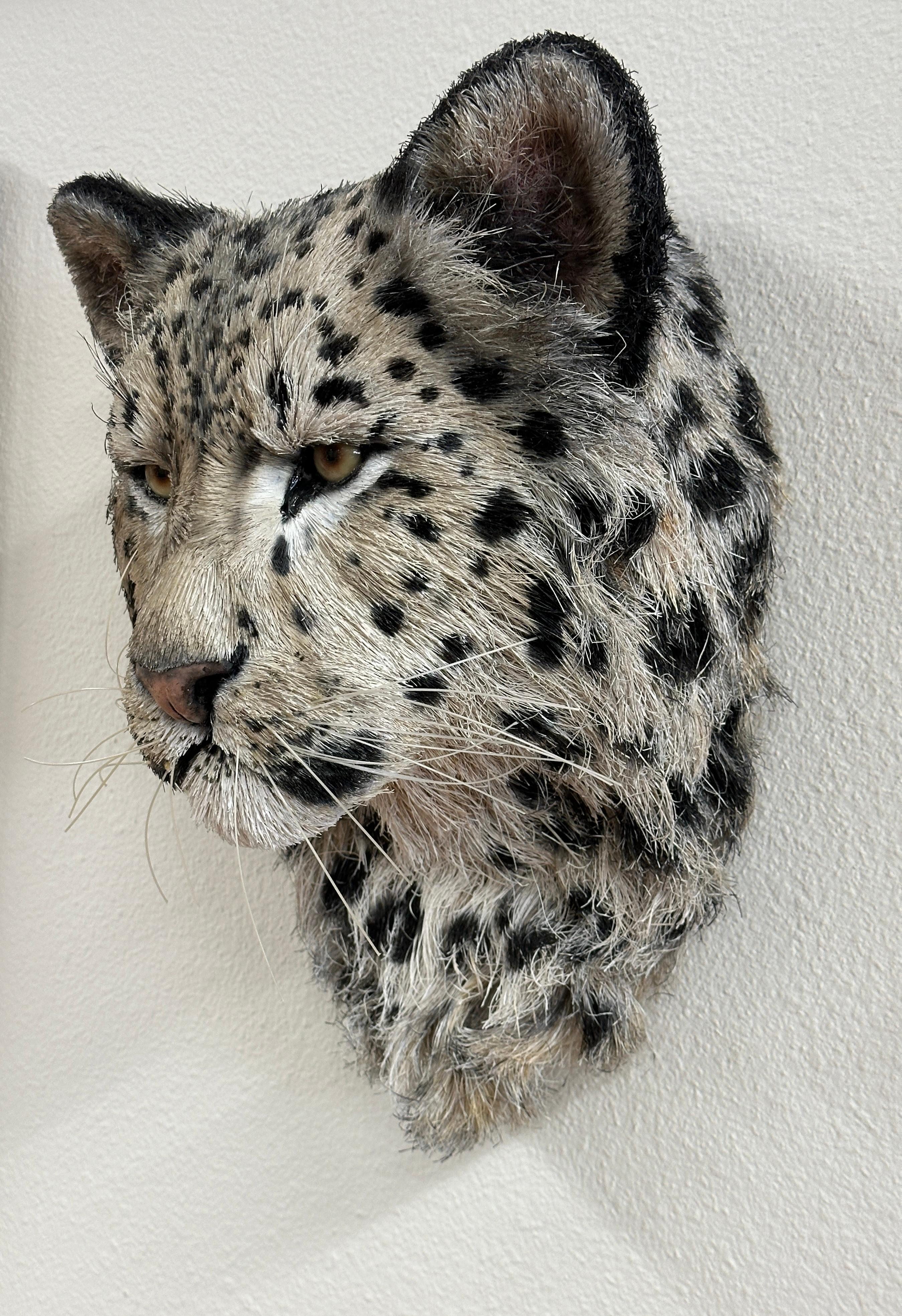 Hand-Crafted Anne Andersson Sisal Fiber Snow Leopard 2006 For Sale
