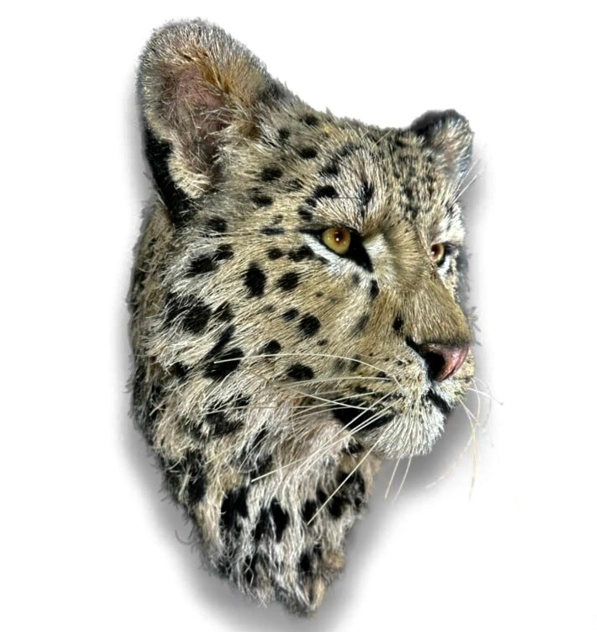 Anne Andersson Sisal Fiber Snow Leopard 2006 In Good Condition For Sale In Palm Springs, CA