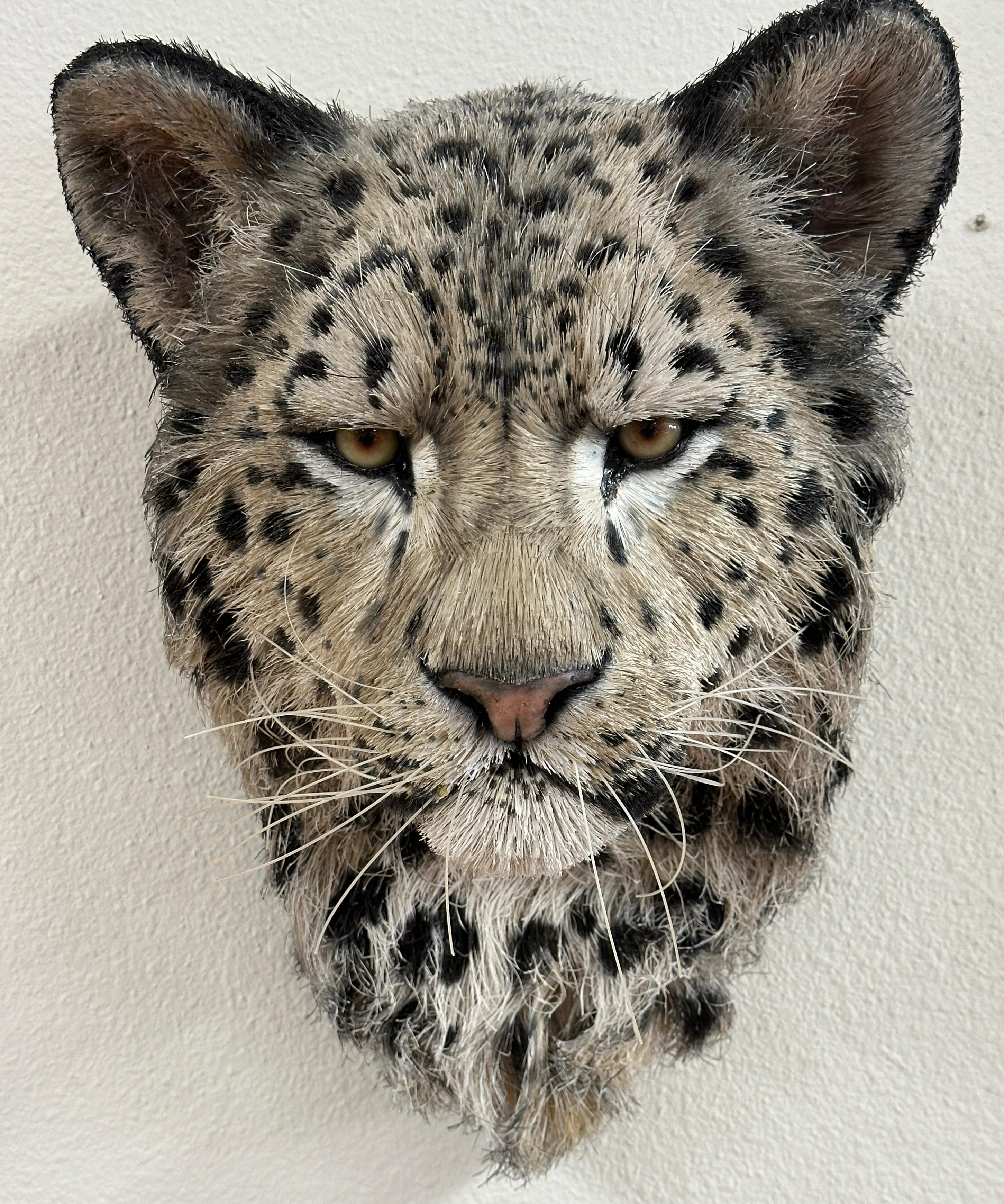 Clay Anne Andersson Sisal Fiber Snow Leopard 2006 For Sale