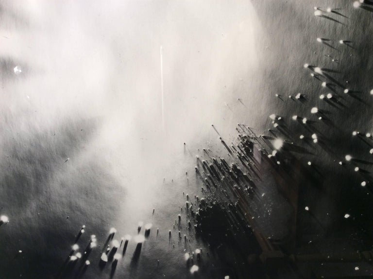 Anne Arden McDonald - Big Bang (Abstract Camera-less Still Life ...