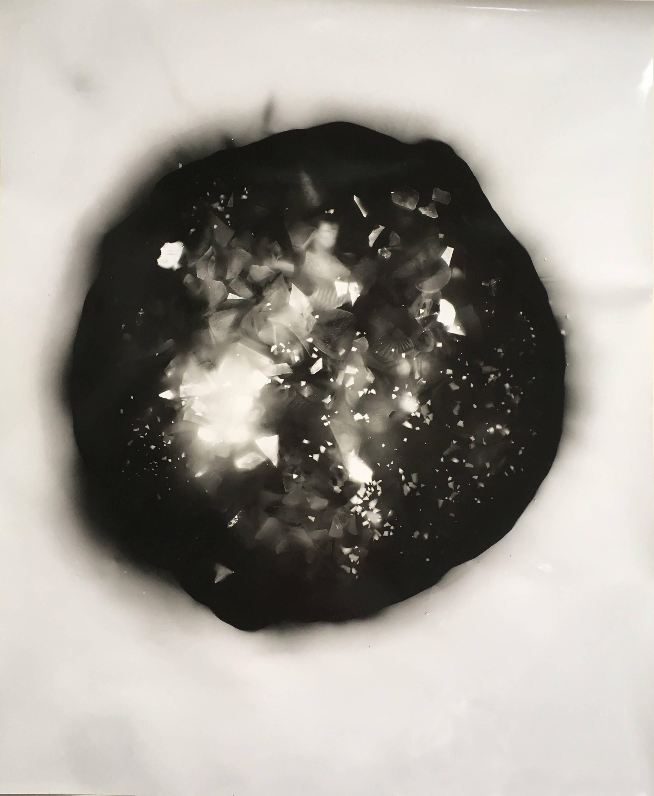 Anne Arden McDonald Black and White Photograph - Fragility (Framed Abstract Camera-less Still Life Photograph in Black & White)