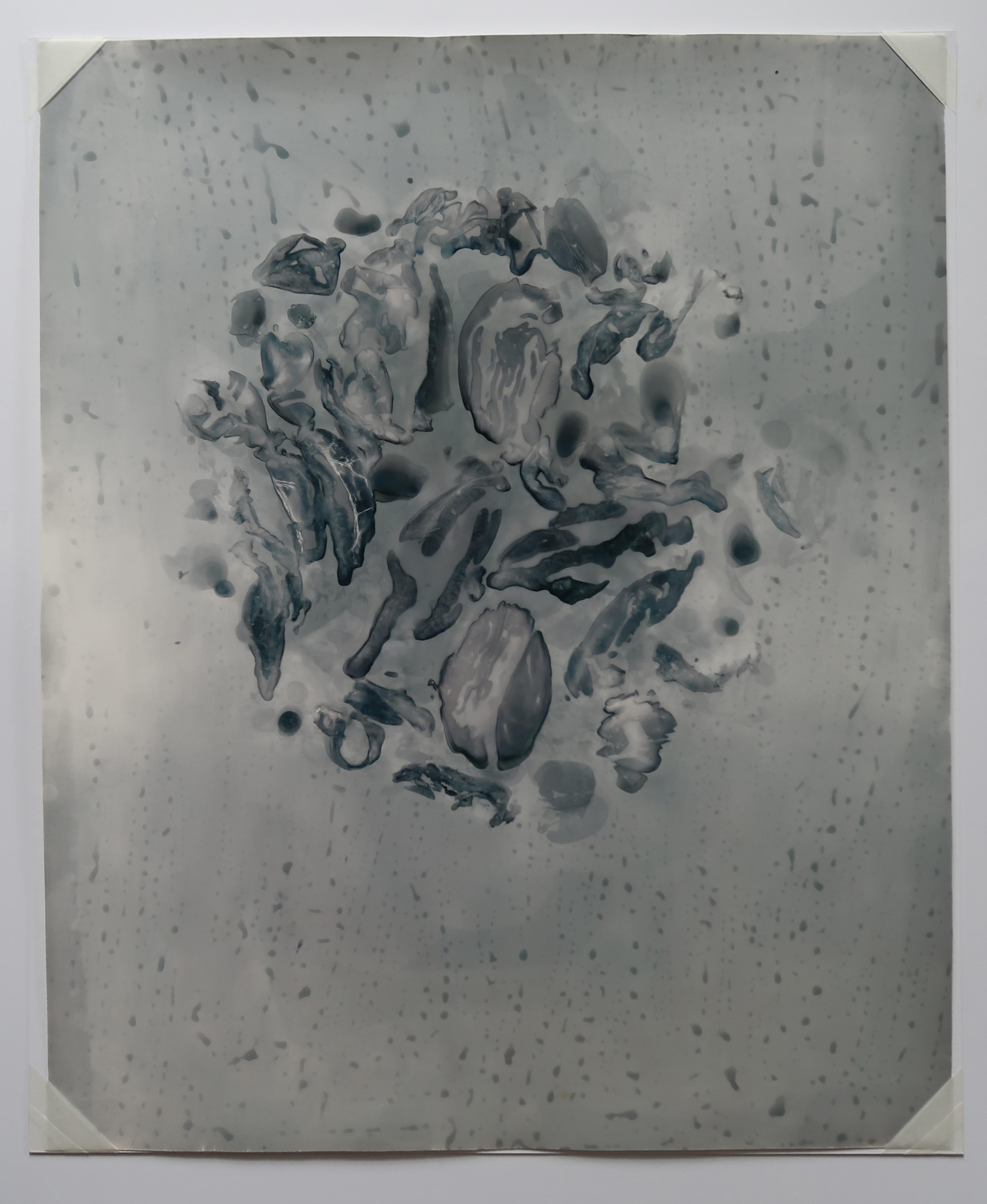 Abstract Photograph de Anne Arden McDonald - Pie de imprenta