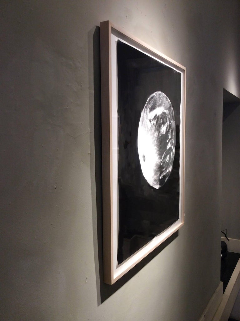Anne Arden McDonald - Moon (Abstract Camera-less Still Life Photograph ...