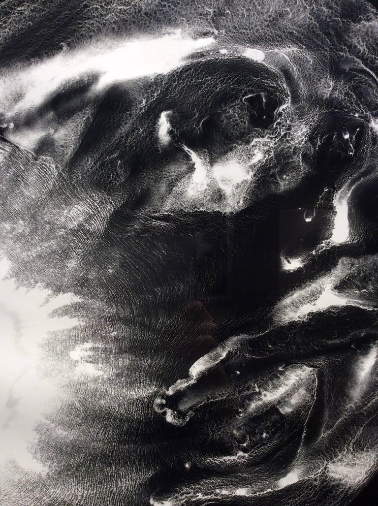 Anne Arden McDonald - Moon (Abstract Camera-less Still Life Photograph ...