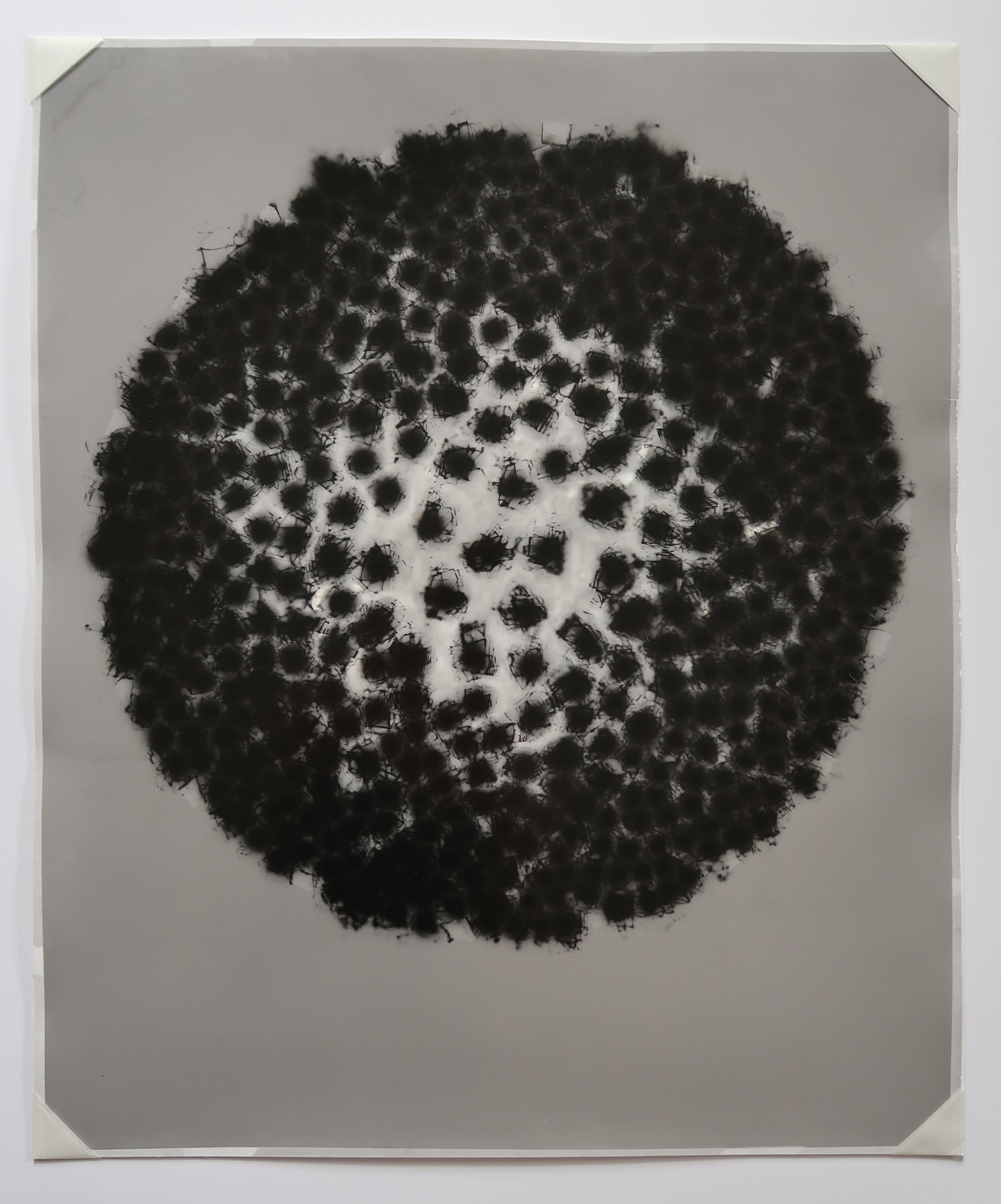 Anne Arden McDonald Abstract Photograph - Virus 2