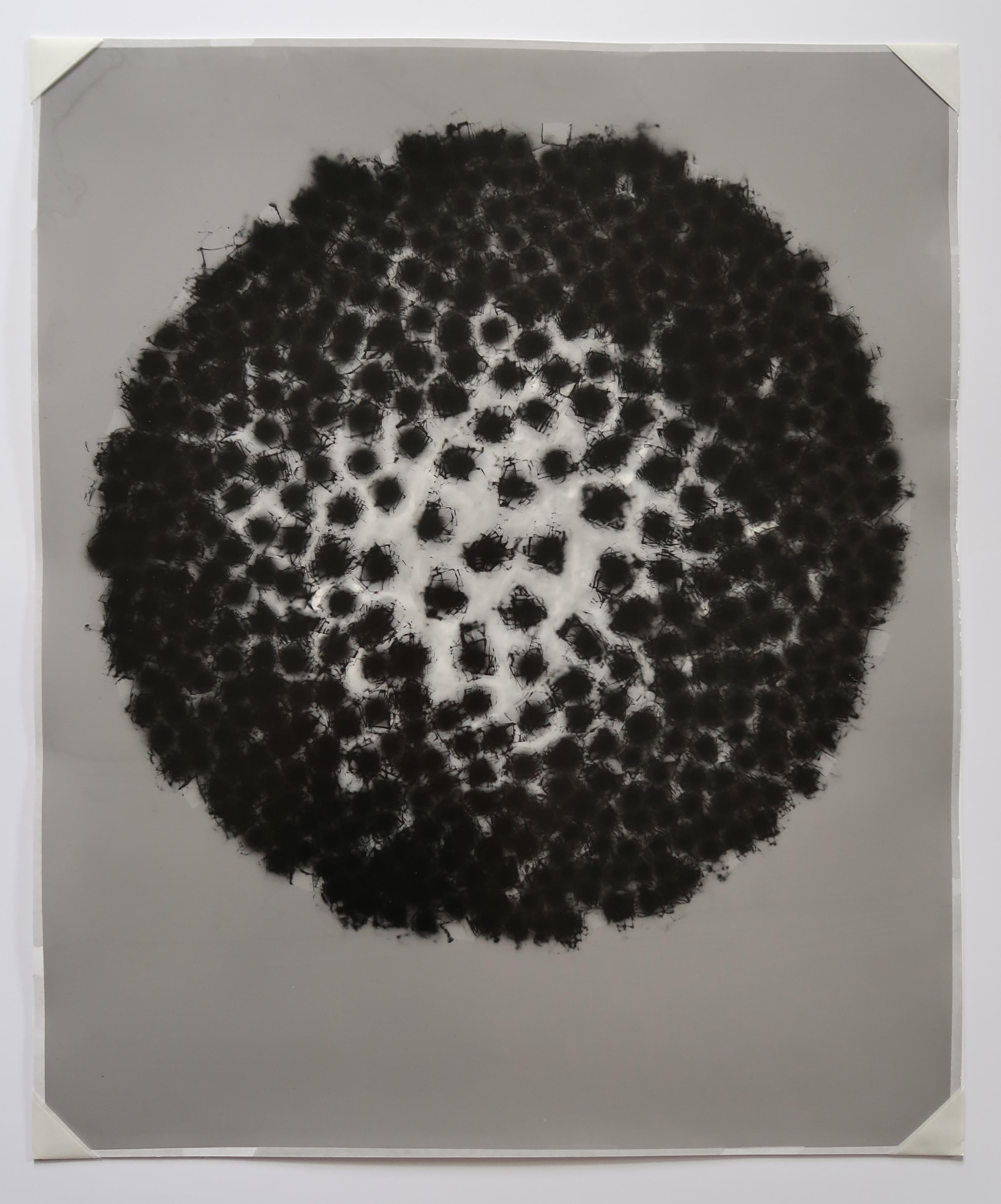 Abstract Photograph Anne Arden McDonald - Protégeur 2