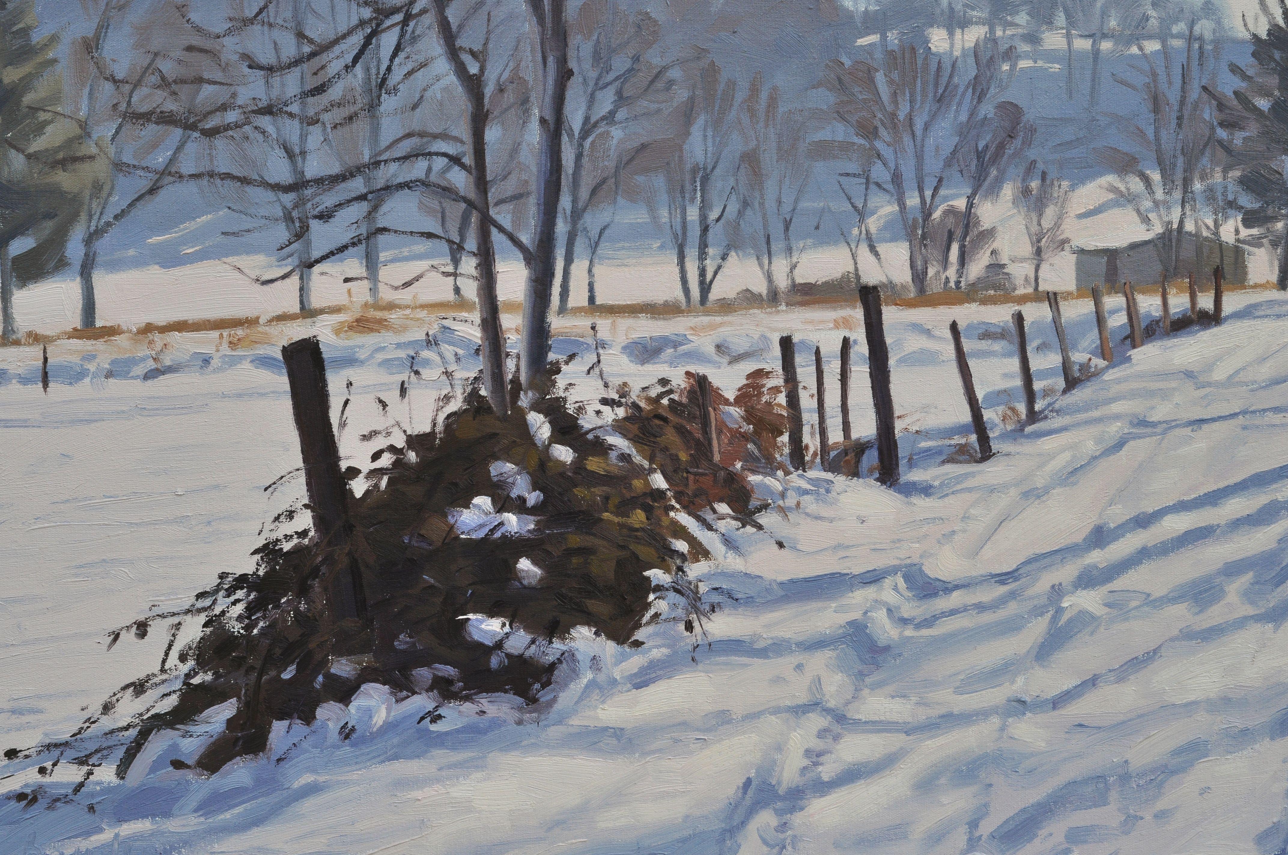 January 7, path in the snow at Saint Vincent, Painting, Oil on Canvas 2