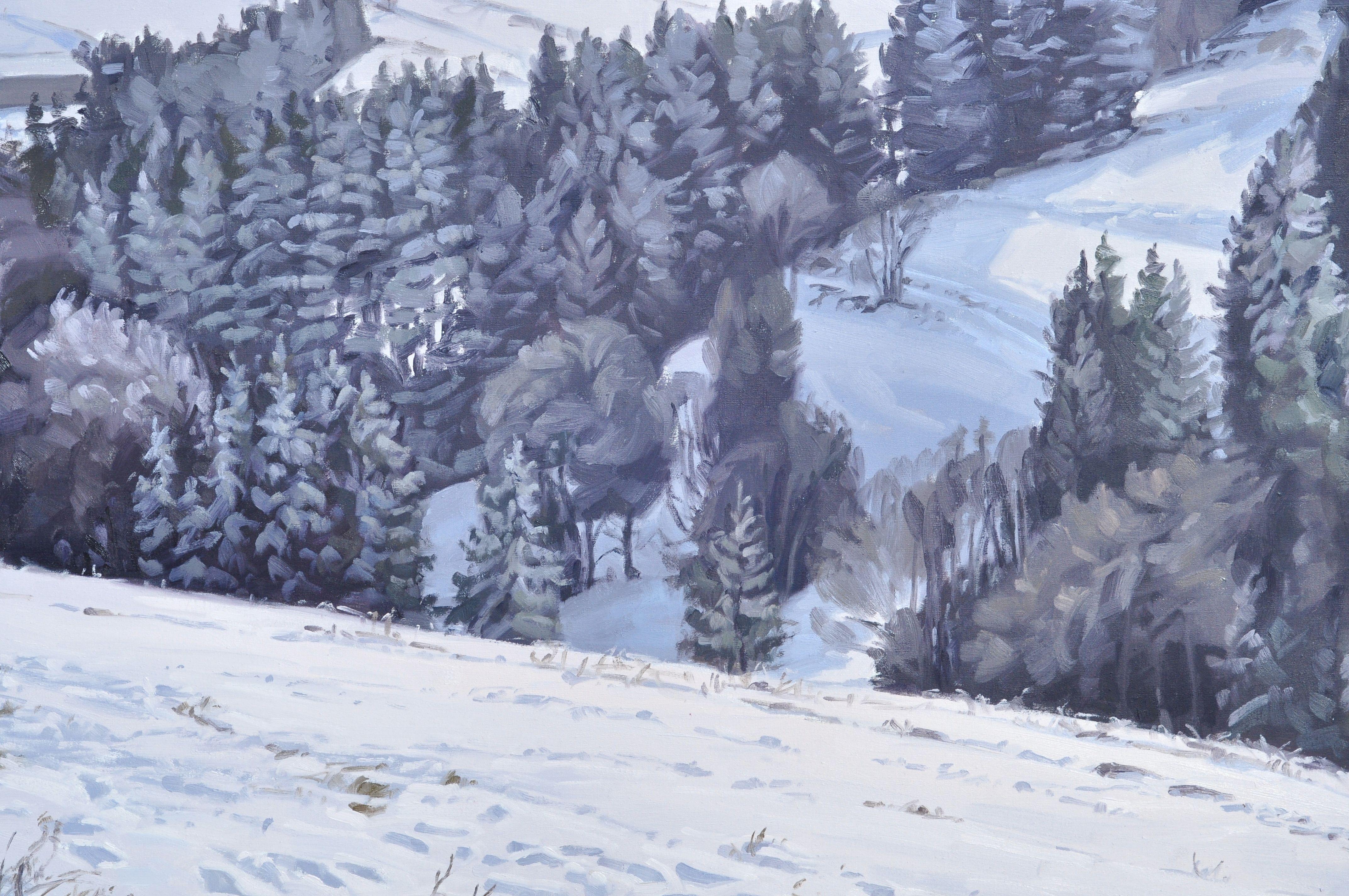 Soleil matinal sur les montagnes enneigées du Mäczenc, Peinture, Huile sur toile en vente 1