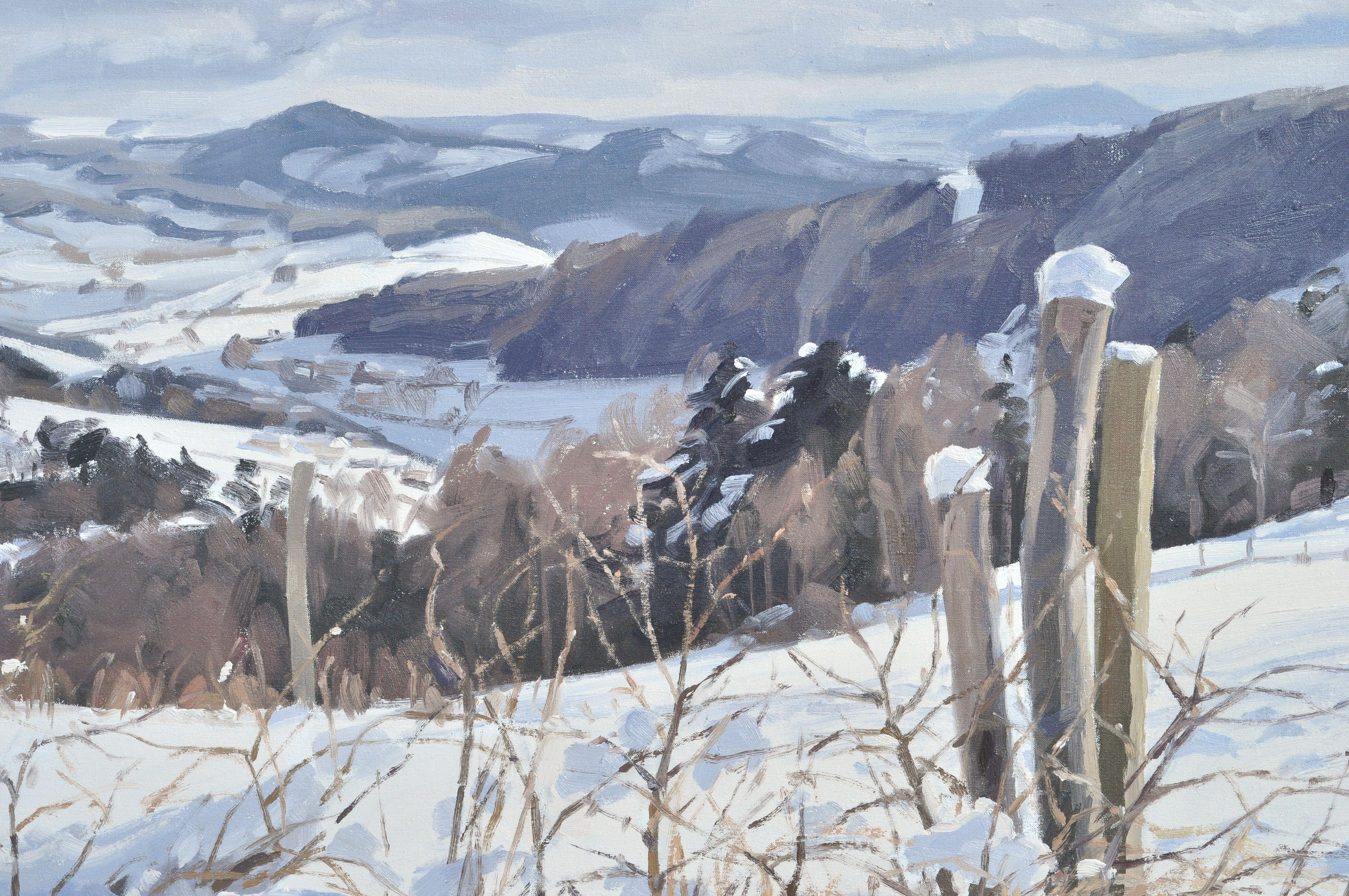 Die Landschaft der Auvergne, im Herzen Frankreichs.    Die Landschaften des Velay-Gebirges sind eine unerschöpfliche Quelle der Inspiration. Ich male sie gerne zu allen Jahreszeiten.    Diese Landschaft ist â€žalla primaâ€œ gemalt.