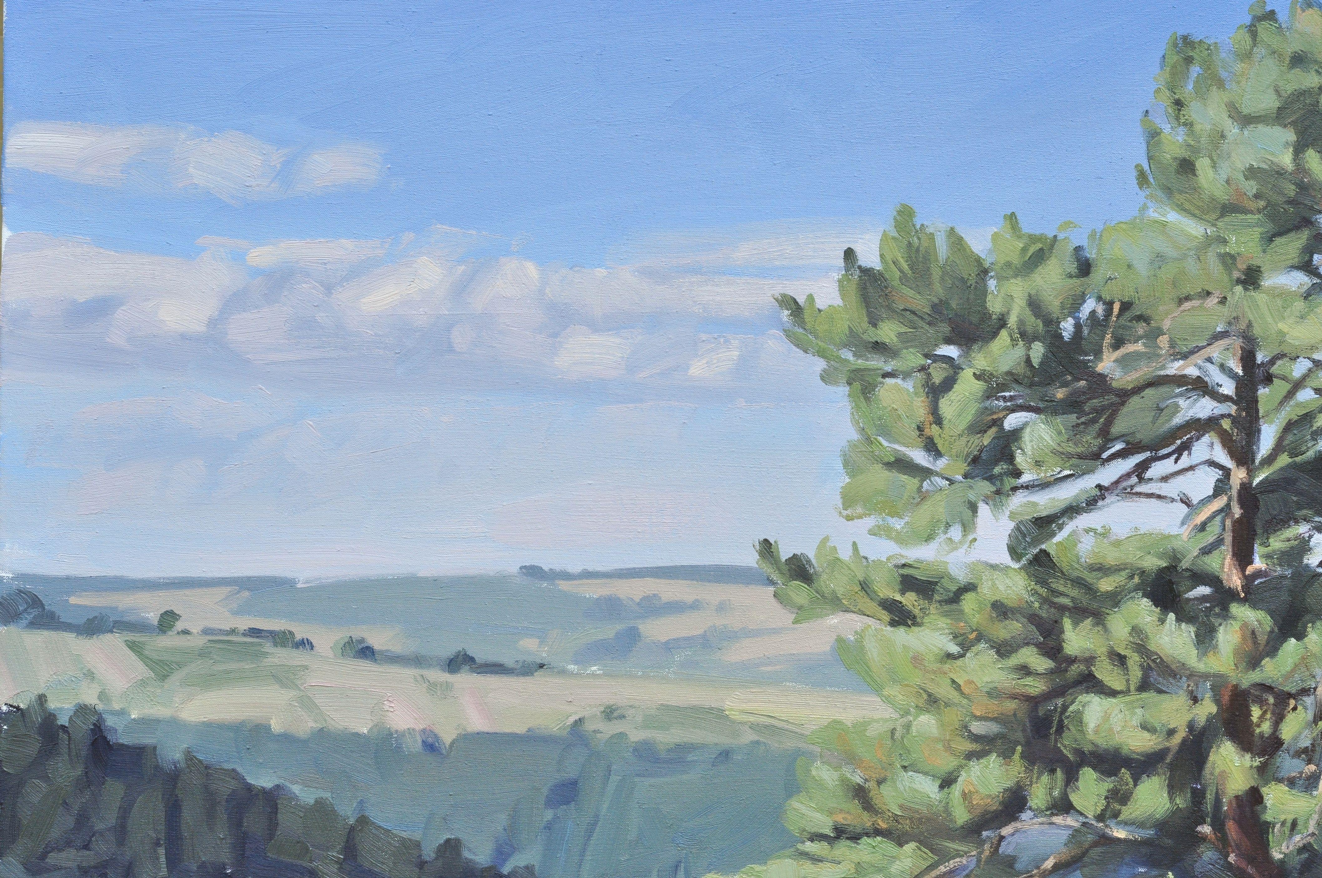 Die Landschaft der Auvergne, im Herzen Frankreichs.    Die Landschaften des Velay-Gebirges sind eine unerschöpfliche Quelle der Inspiration. Ich male sie gerne zu allen Jahreszeiten.    Diese Landschaft ist â€žalla primaâ€œ gemalt.