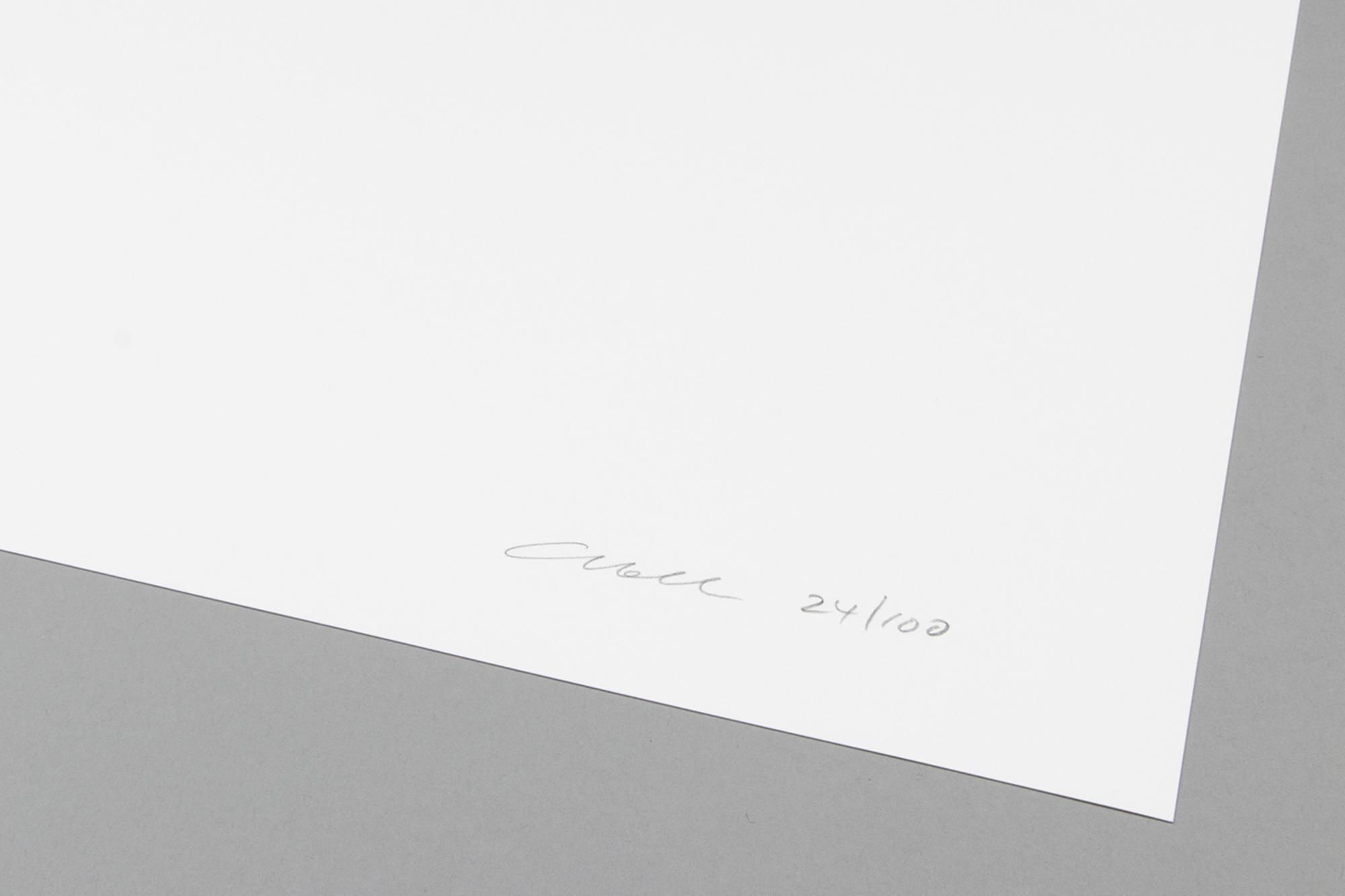 Anne Collier, Donna che piange - Arte contemporanea, Artista donna, Stampa firmata in vendita 4