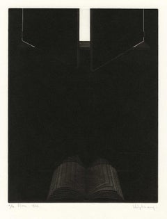 Livre  (Ein Einblick in das Wissensbuch)