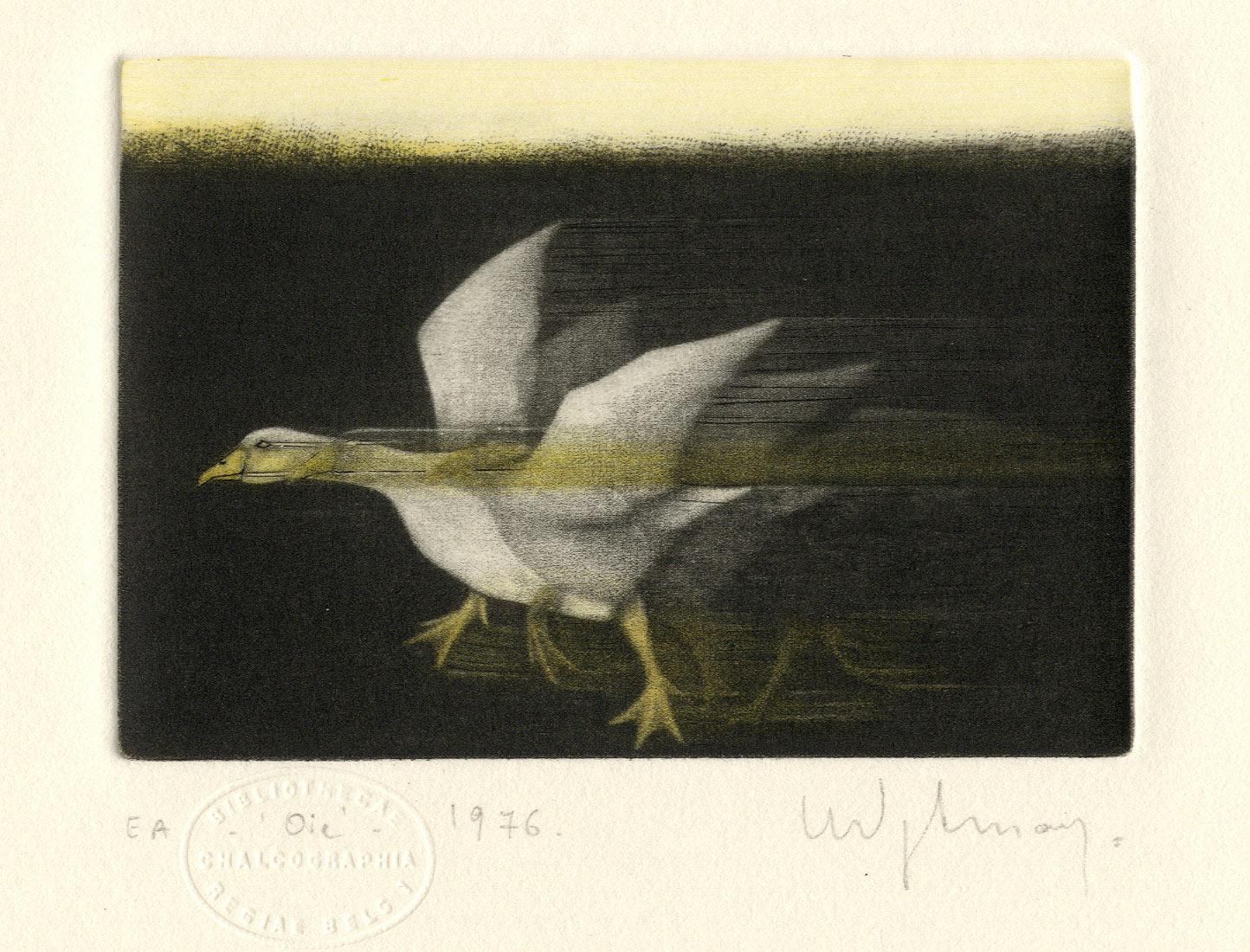 Anne Dykmans Animal Print - Oie (A lone goose runs across a field)