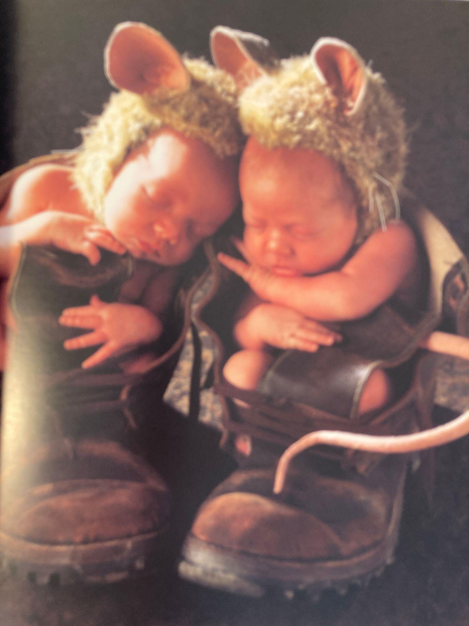 Anne Geddes Down in The Garden Large Hardcover Book, 1996 For Sale 5