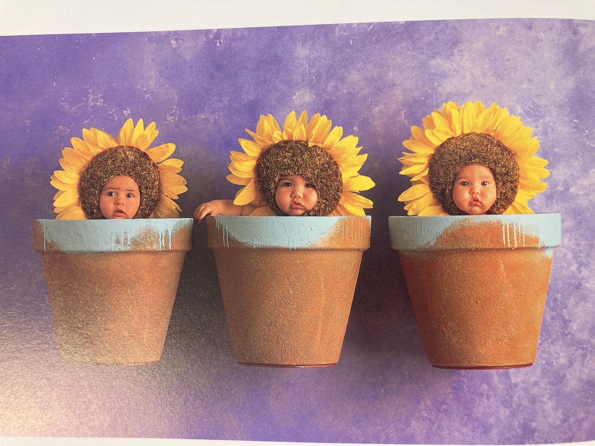 Anne Geddes Down in The Garden Large Hardcover Book, 1996 For Sale 6