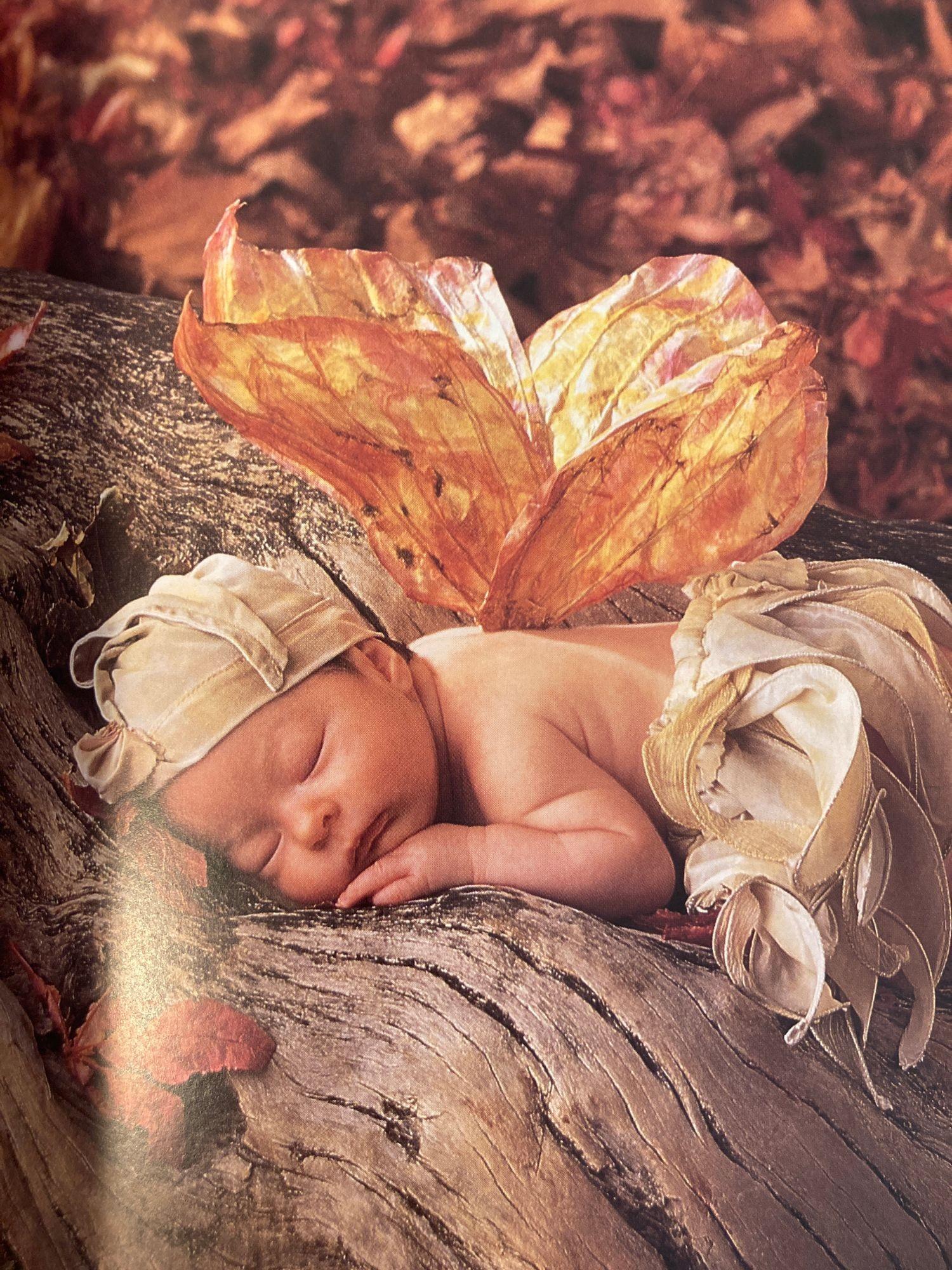 Anne Geddes Down in The Garden Large Hardcover Book, 1996 For Sale 10