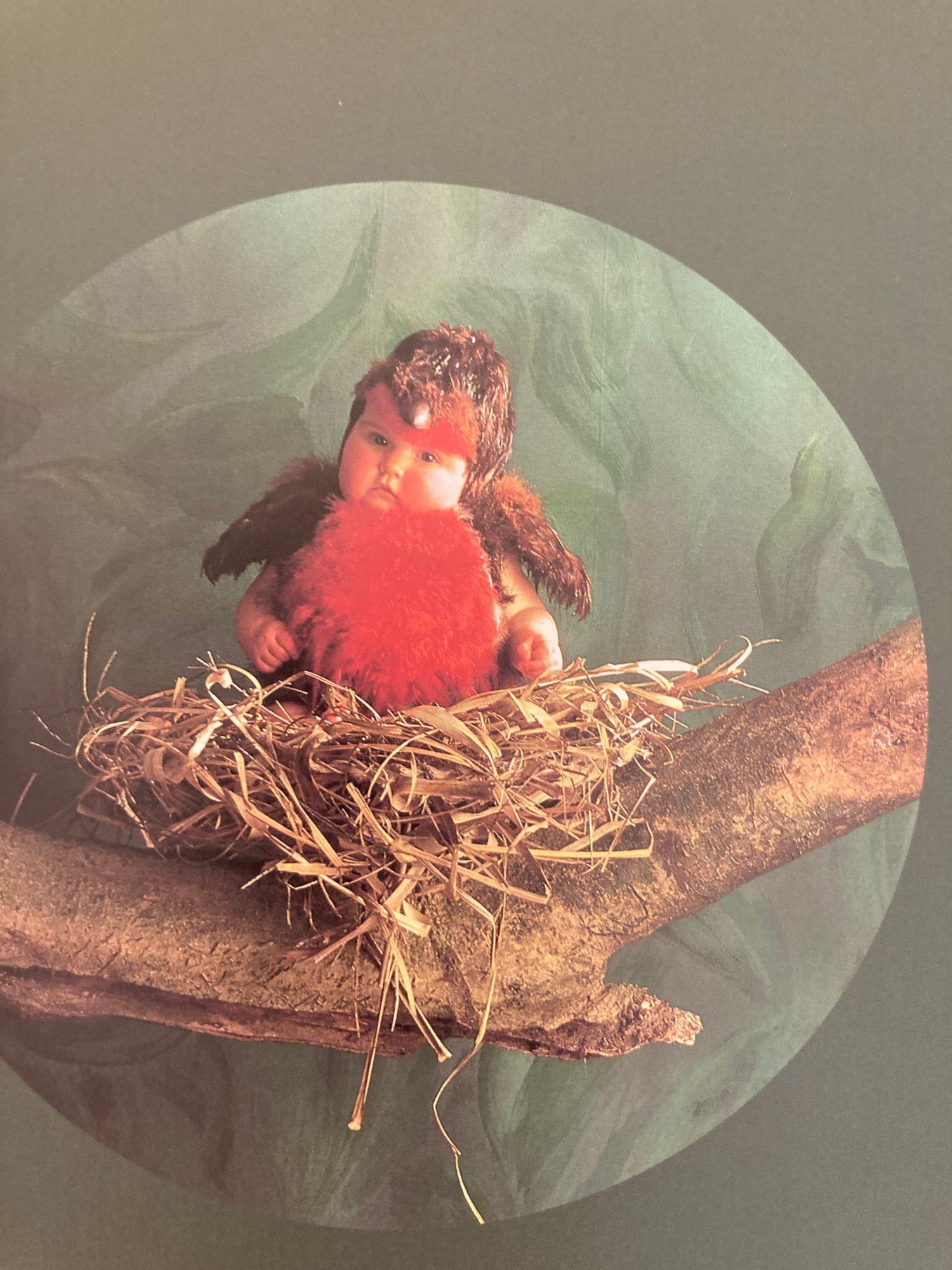 Anne Geddes Down in The Garden Large Hardcover Book, 1996 For Sale 14