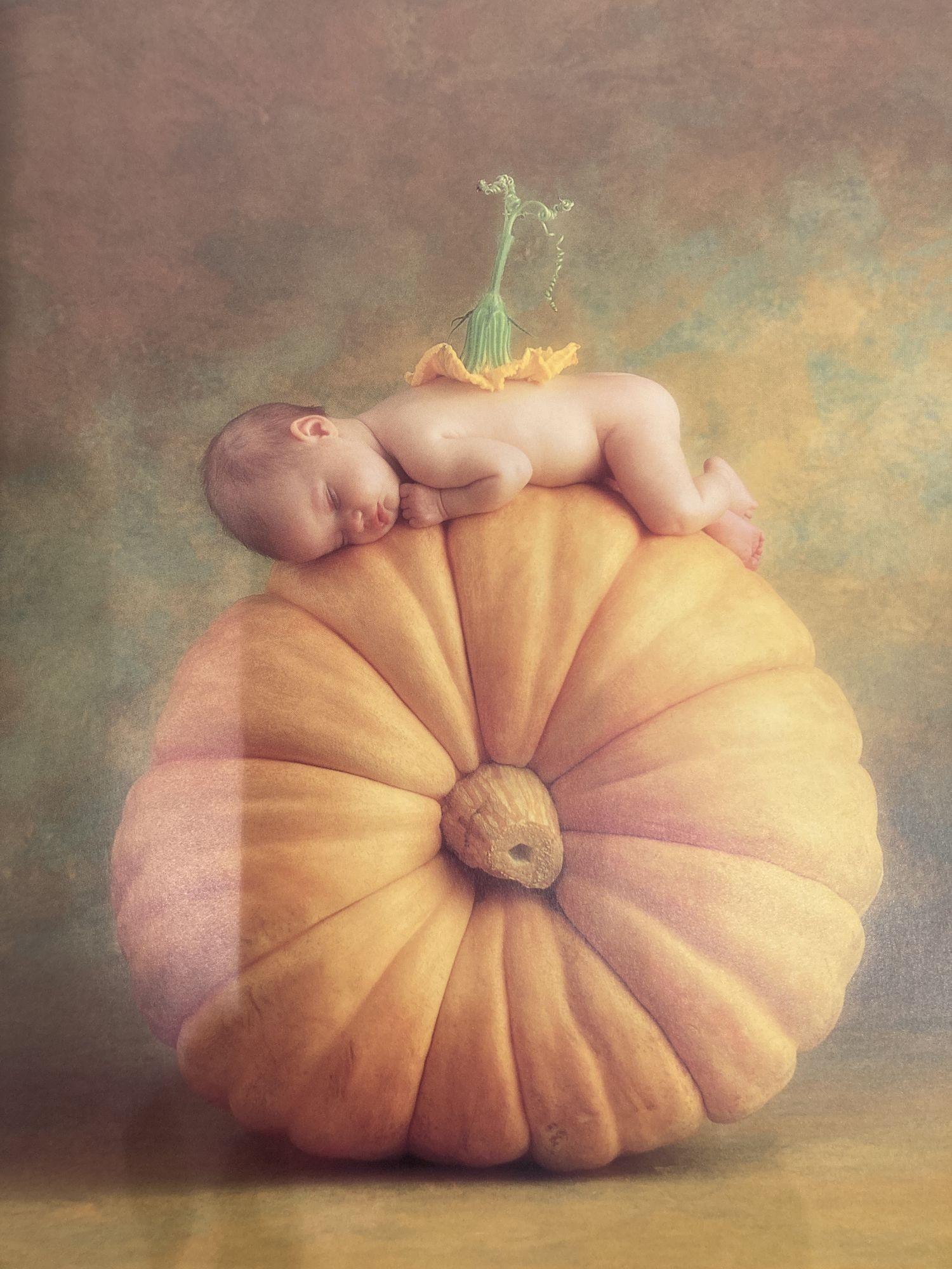 20th Century Anne Geddes until Now Photo Folio 1st Edition 1997 For Sale