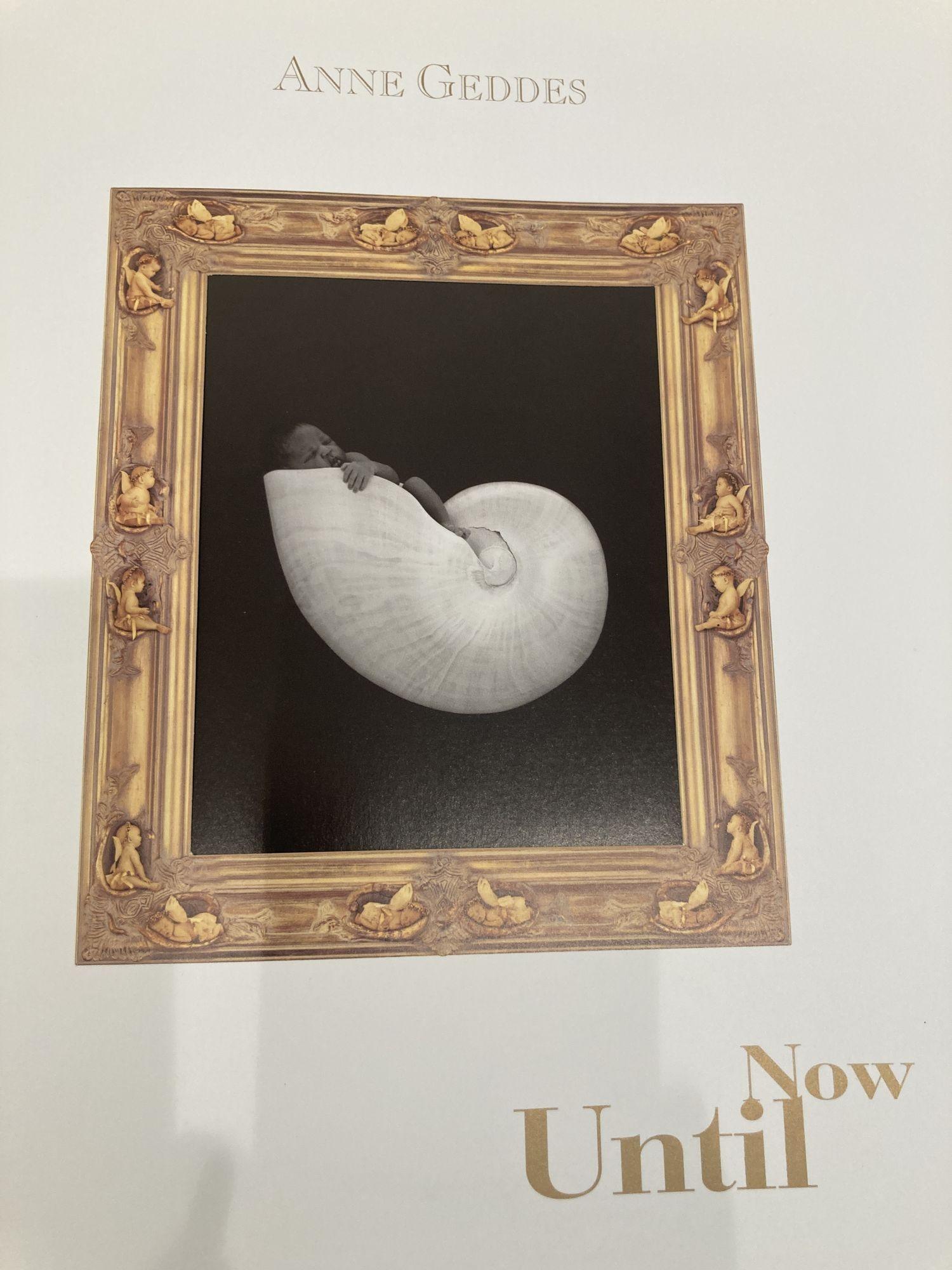 American Anne Geddes until Now Photo Folio 1st Edition 1997 For Sale