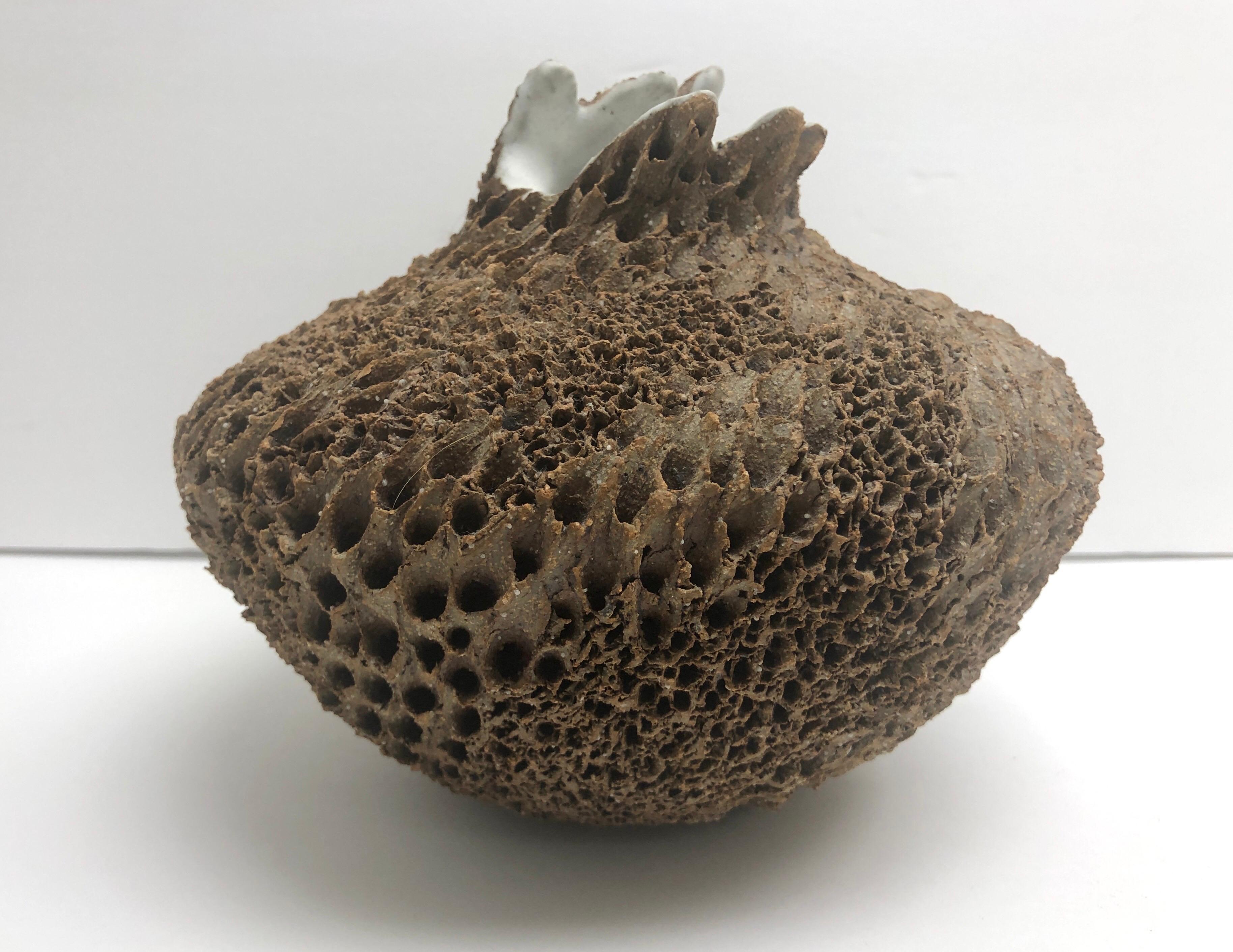 Anne Goldman Organic Sculpture Ceramic Vessel Vase 4