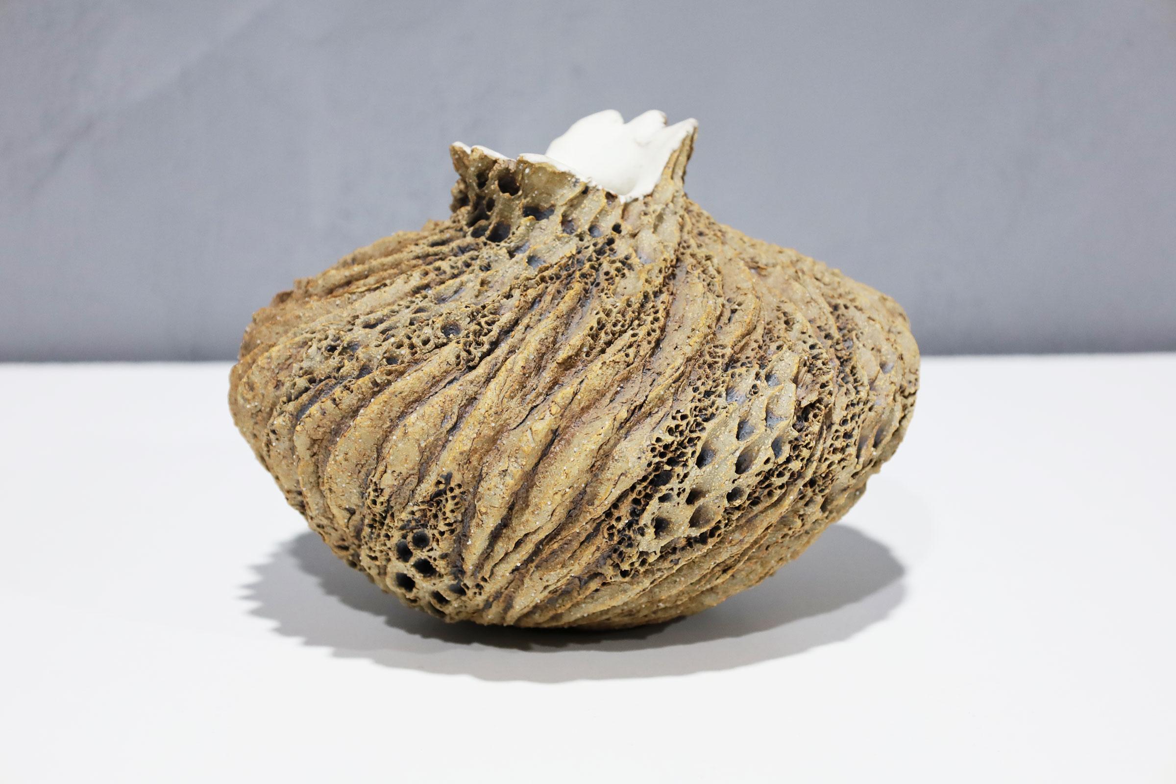Anne Goldman has been involved in ceramics for over twenty years. Her work is represented extensively in galleries, museums and private collections throughout the U.S., Europe, and Asia, and has been featured in numerous one-woman shows. Her many
