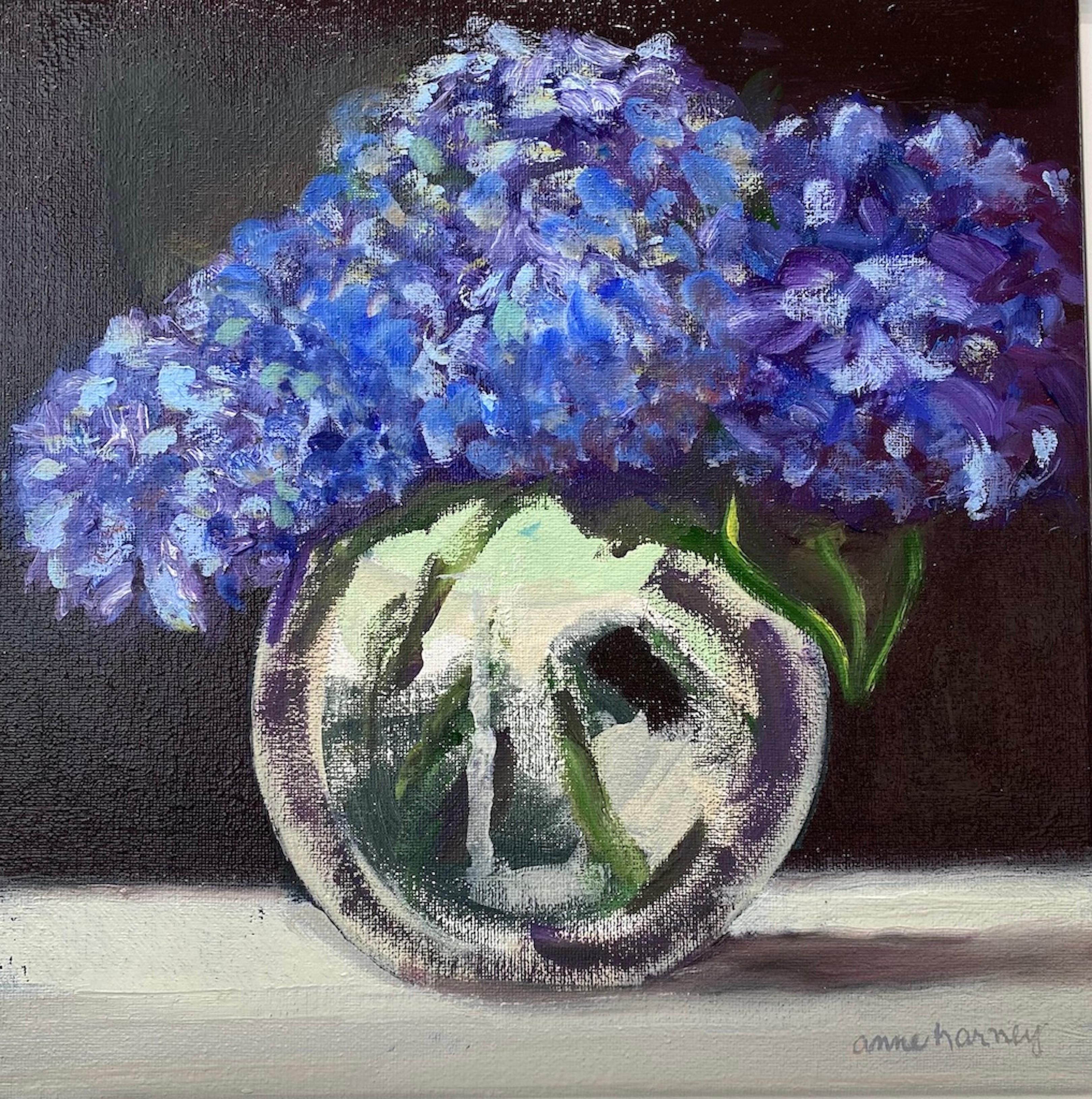 Anne Harney Still-Life Painting - "Blue Hydrangeas" small scale oil painting of flowers, clear vase, black behind 