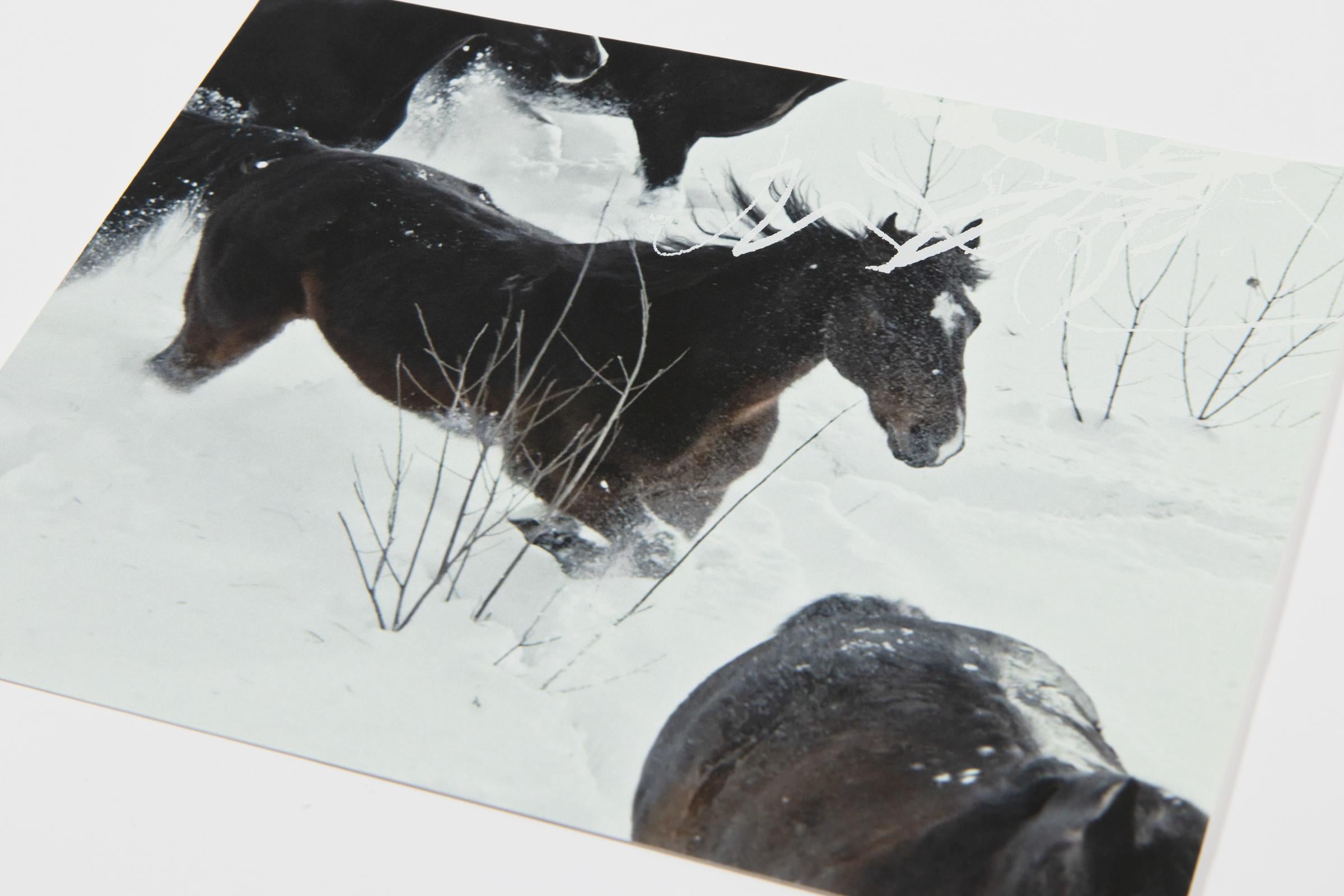 Anne Imhof, YOUTH: Set completo di 4 stampe, Arte contemporanea in vendita 1
