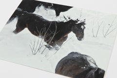 Anne Imhof, YOUTH: Complete Set of 4 Prints, Contemporary Art