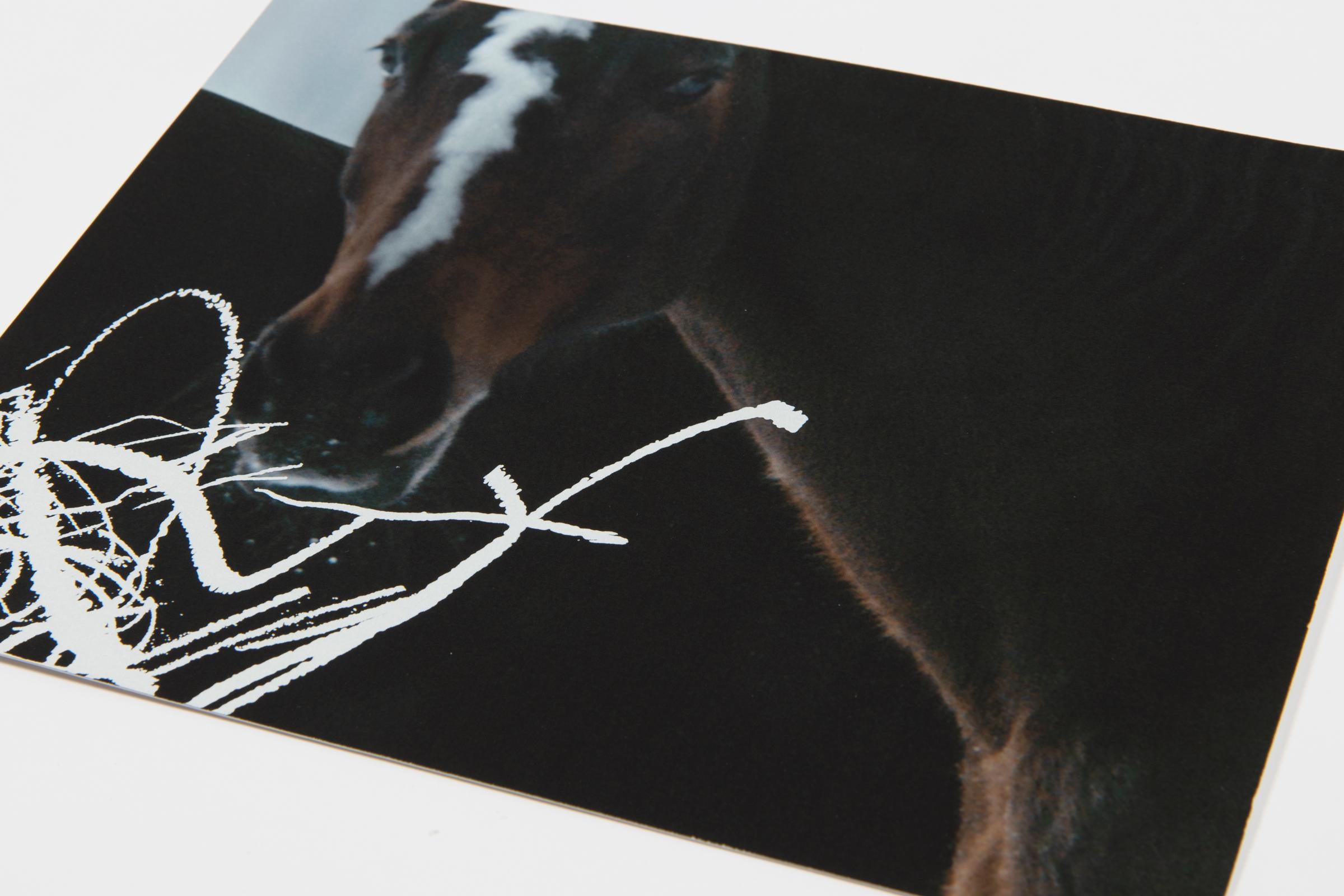 Anne Imhof, YOUTH: Set completo di 4 stampe, Arte contemporanea 2