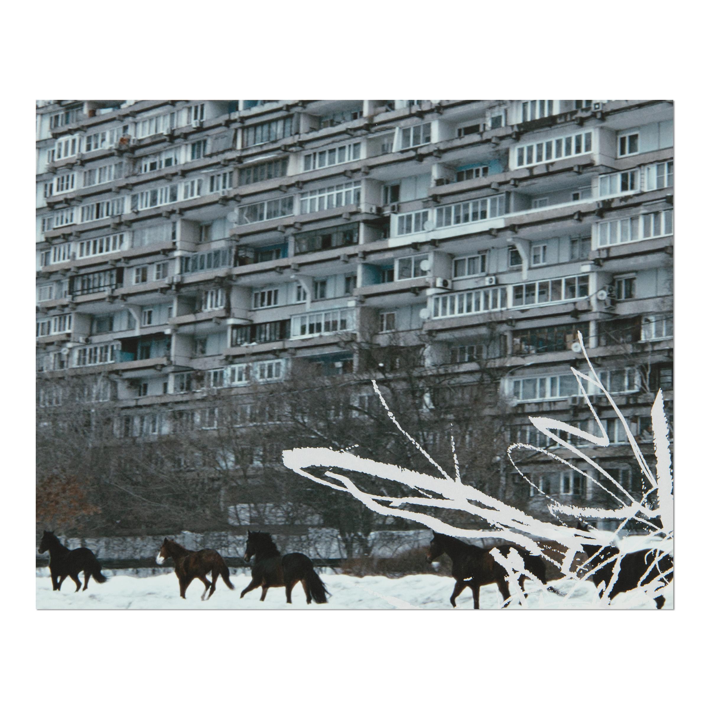 Anne Imhof, YOUTH: Set completo di 4 stampe, Arte contemporanea 5