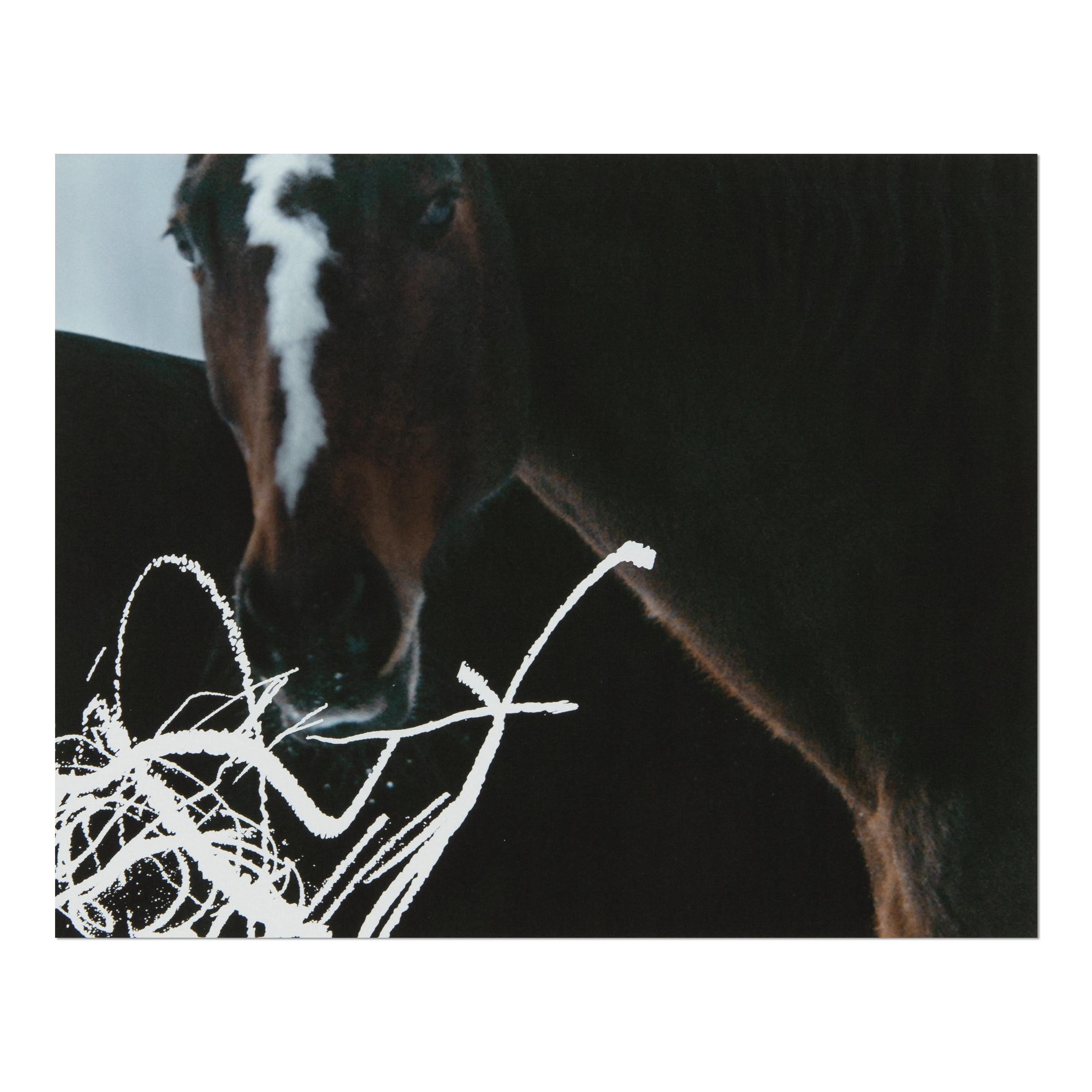 Anne Imhof, YOUTH: Set completo di 4 stampe, Arte contemporanea in vendita 6