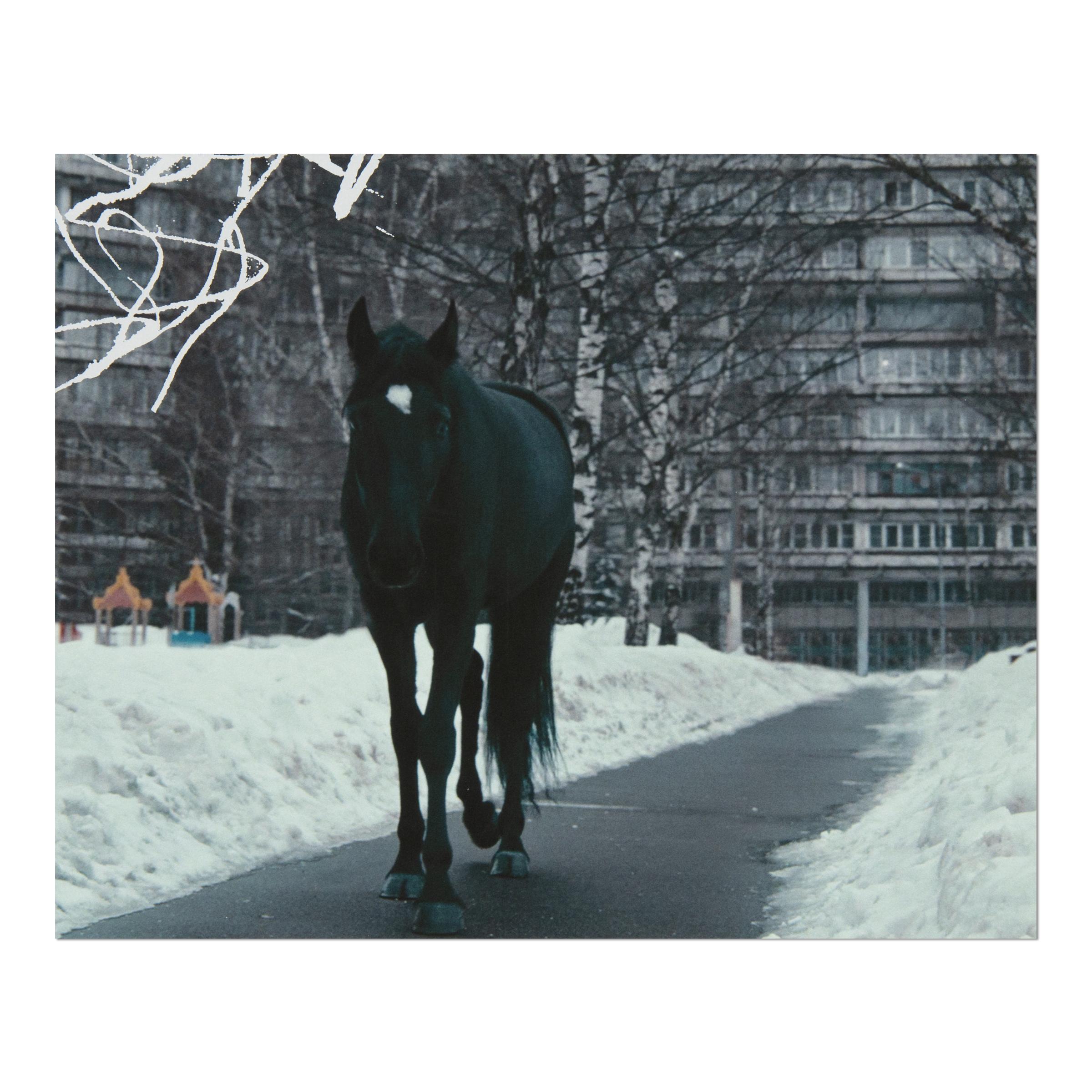 Anne Imhof, YOUTH: Set completo di 4 stampe, Arte contemporanea in vendita 8