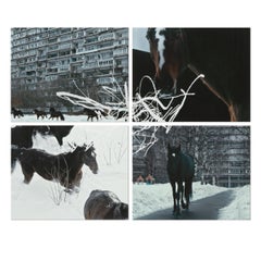 Anne Imhof, YOUTH: Set completo di 4 stampe, Arte contemporanea