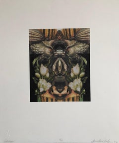 Zeitgenössische digitale Collage-Kunst-Iris-Druck in Los Angeles, signiert ltd ed.