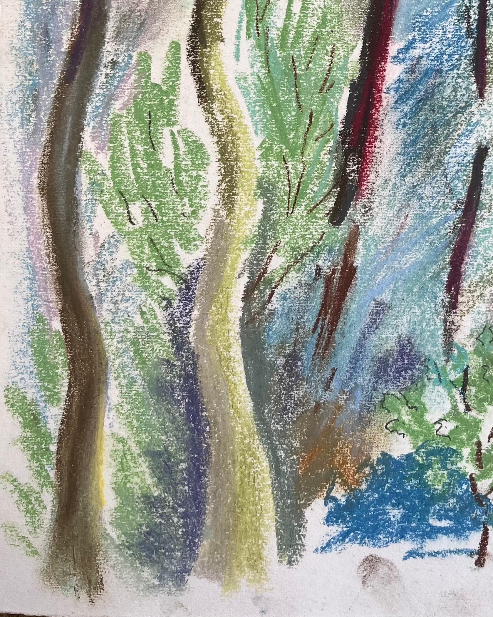 Titolo: Paesaggio a pastello francese della metà del XX secolo con alberi della foresta a Les Laudes
di Anne Marie Migette Perard (francese, 1902-1977)
Medio: Pastello su carta non incorniciata
Dimensioni: 14,75 pollici (altezza) x 10,75 pollici