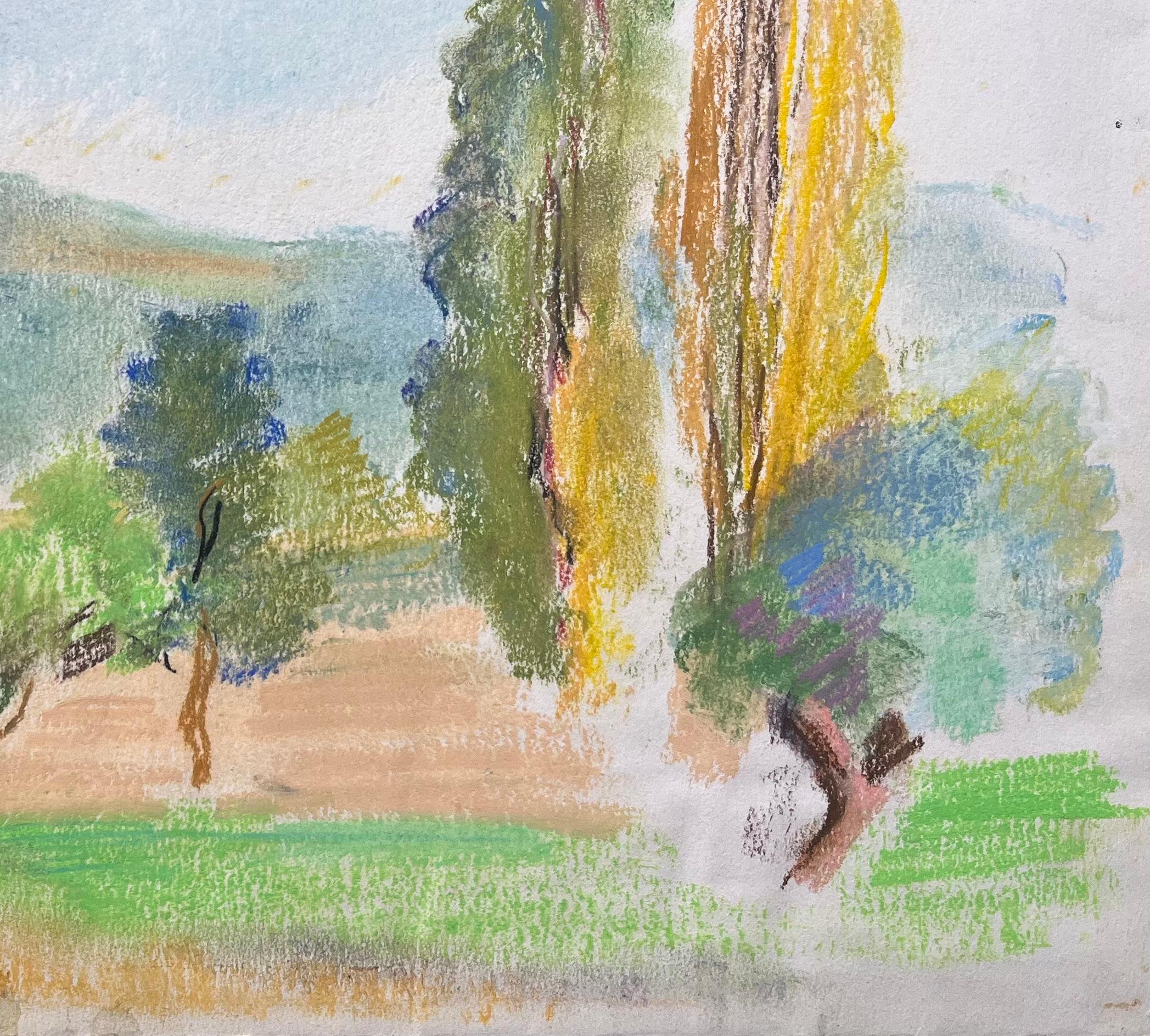 Titre : Paysage de La Bourboule au pastel post-impressionniste du milieu du 20e siècle, France
par Anne-Marie Migette Perard (française 1902-1977)
Signé : Oui
Support : Pastel sur papier non encadré
Taille : 11,5 pouces (hauteur) x 14,75 pouces