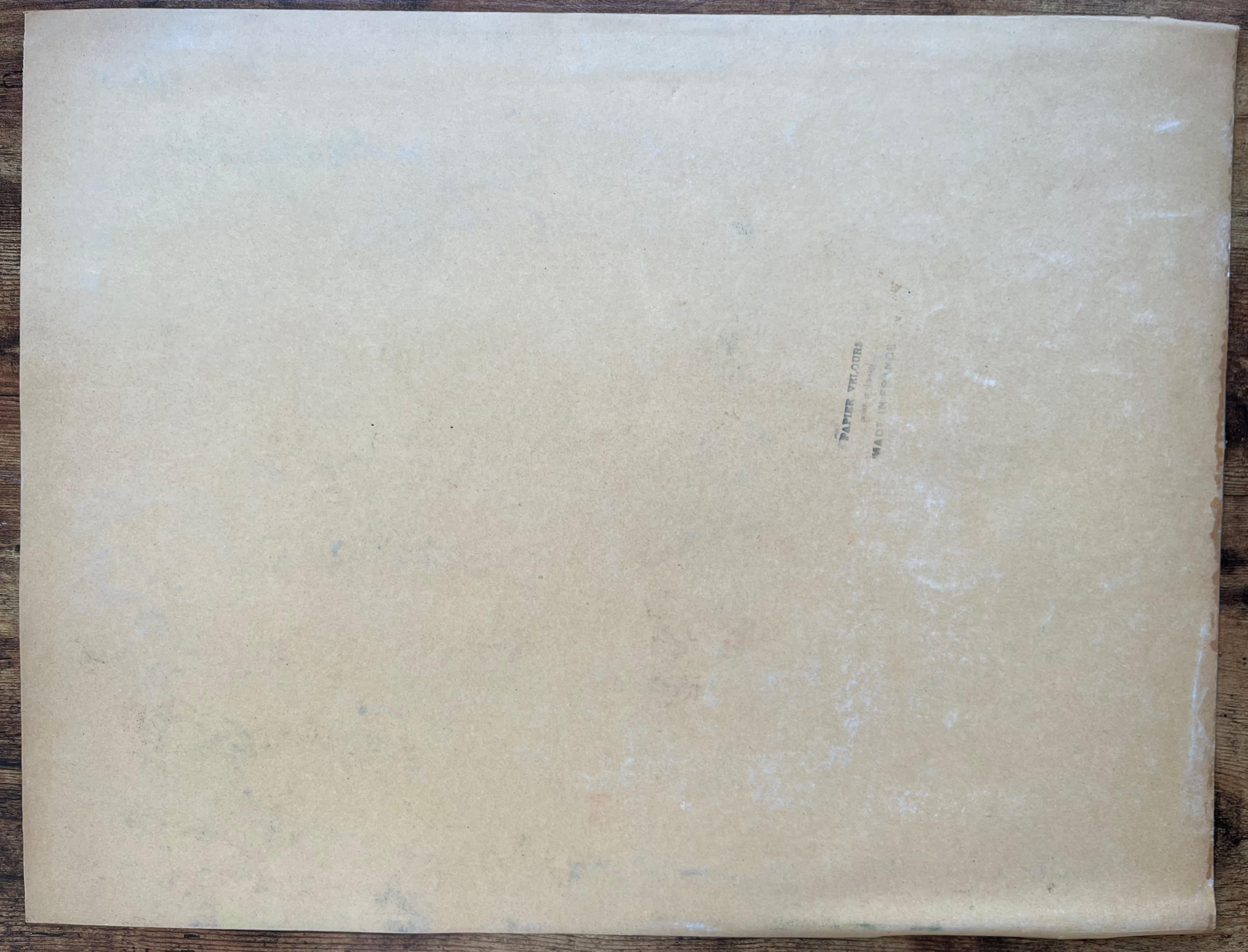 Natura morta di fiori selvatici in vaso, pastello post-impressionista della metà del XX secolo in vendita 3
