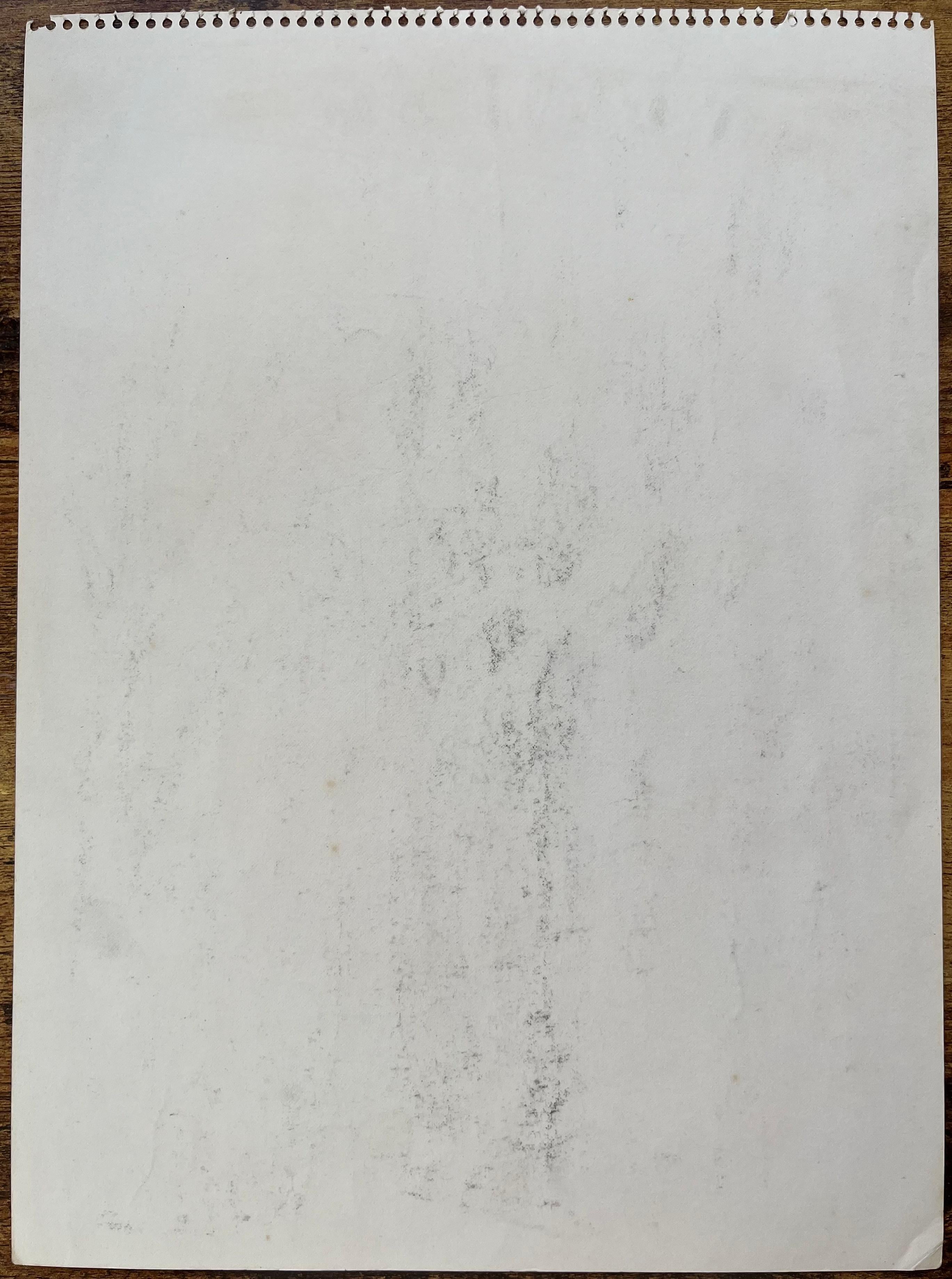 Disegno a matita post-impressionista della metà del XX secolo di una donna su una panchina del parco in vendita 3