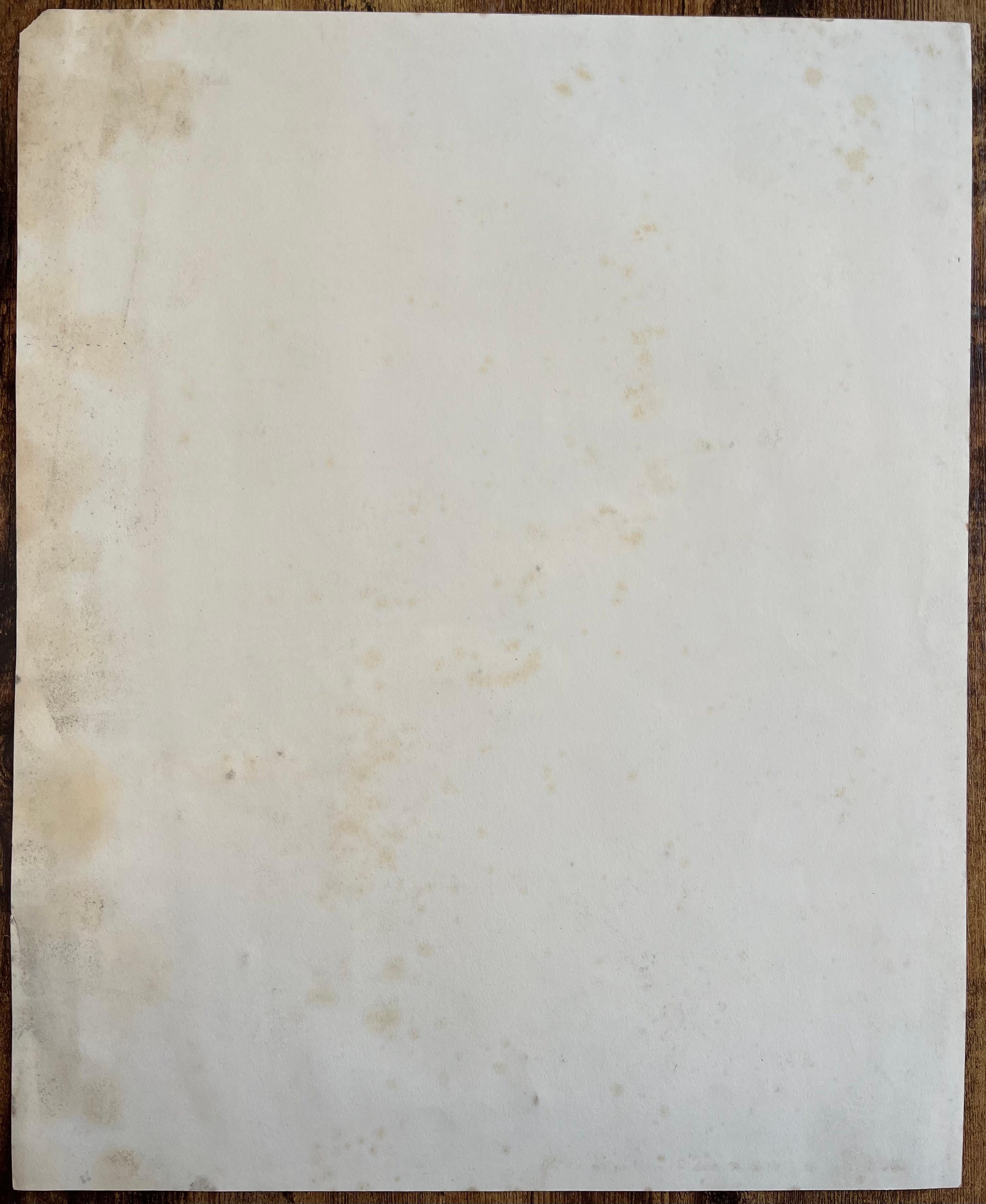 Paesaggio marino post-impressionista della metà del XX secolo con alghe e surf in vendita 3