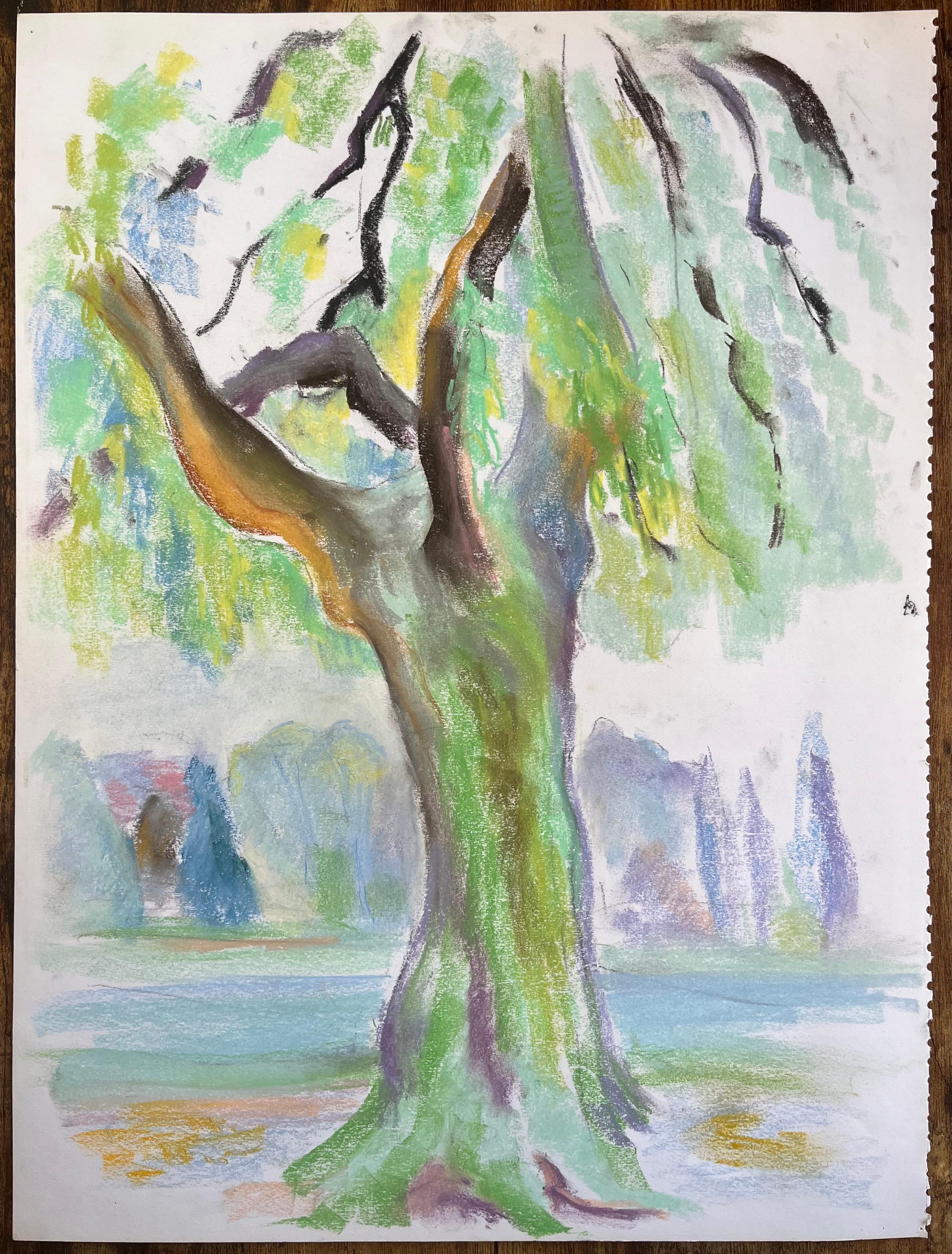 Pastello francese di metà secolo raffigurante un albero di salice in un parco lussureggiante - Painting di Anne Marie Migette Perard