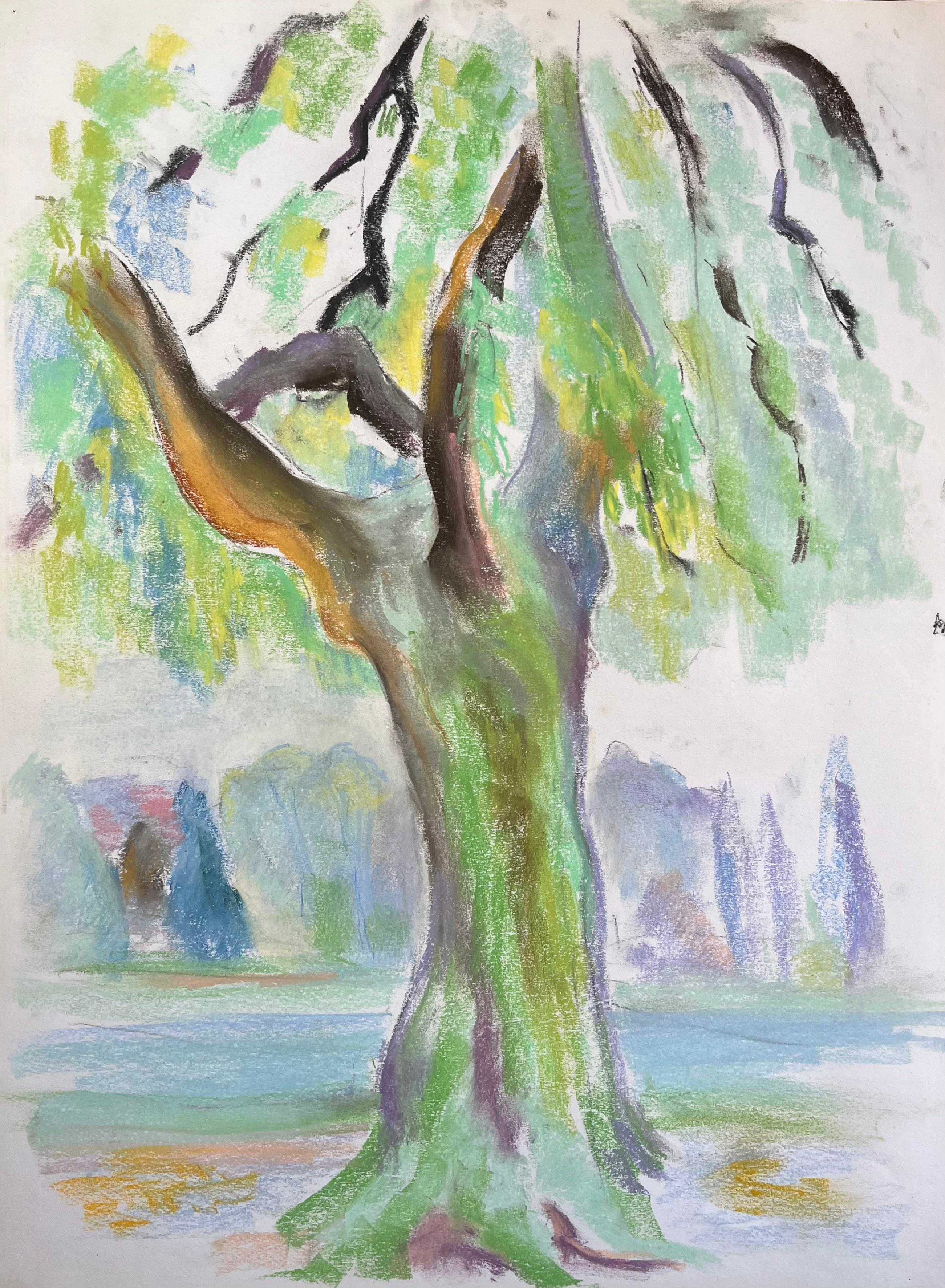 Figurative Painting di Anne Marie Migette Perard - Pastello francese di metà secolo raffigurante un albero di salice in un parco lussureggiante