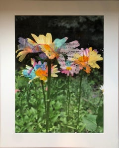 "And the Daisies Danced" by Anne Muller, Emulsion lift, paint, and collage, 2021