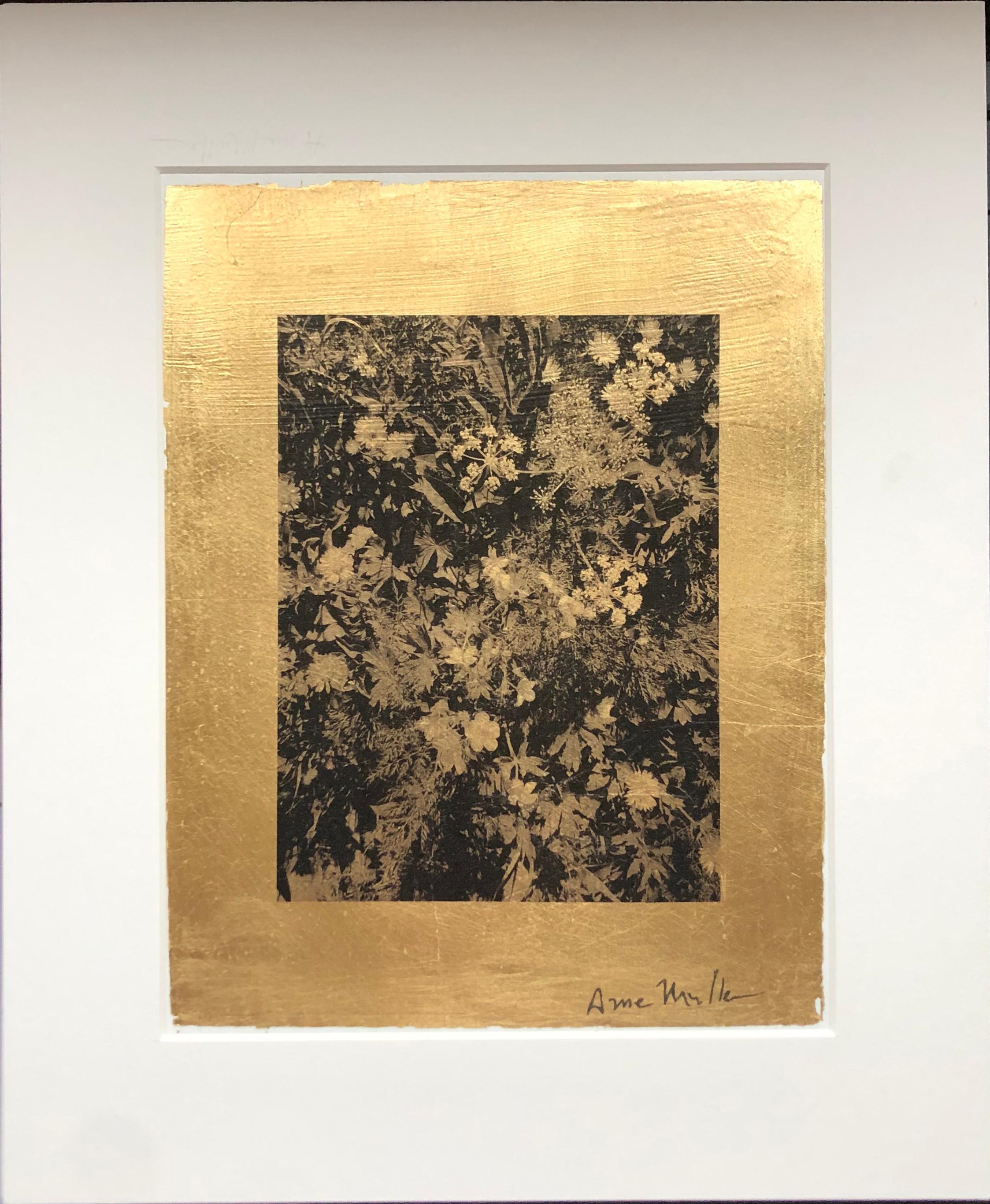 A vertical photographic print on gold leaf of wildflowers by Anne Muller. Muller - a self-taught artist - practices photography, painting, and textile art, and imbues her photographic work with a creative sense of color and texture. In this work,