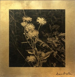 "Sweet Aster" by Anne Muller, Photographic print on gold leaf, 2019