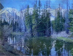 "The Grace of Wildplaces" by Anne Muller, Photographic transfer on foil, 2021