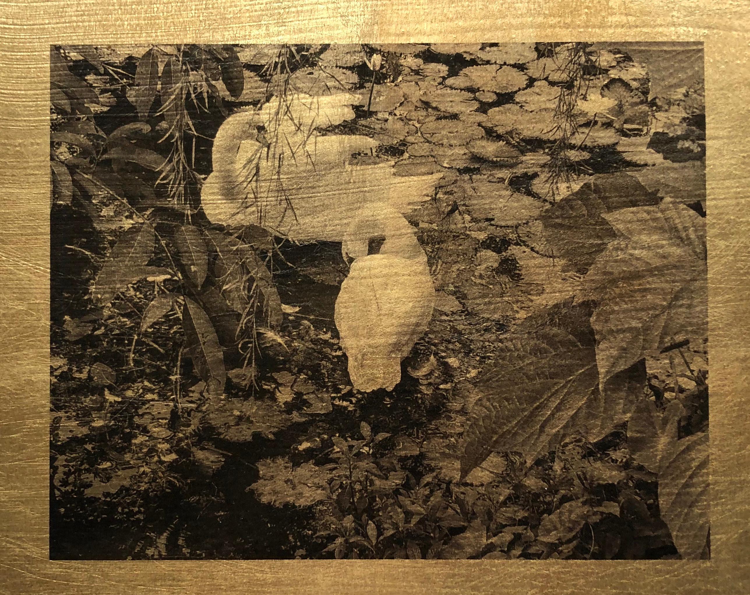 A horizontal photographic print on gold leaf of graceful swans by Anne Muller. Muller - a self-taught artist - practices photography, painting, and textile art, and imbues her photographic work with a creative sense of color and texture. In this