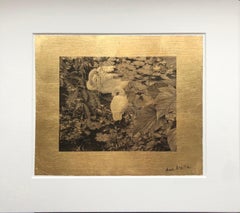 "The Swans" by Anne Muller, Photographic print with gold leaf, 2019
