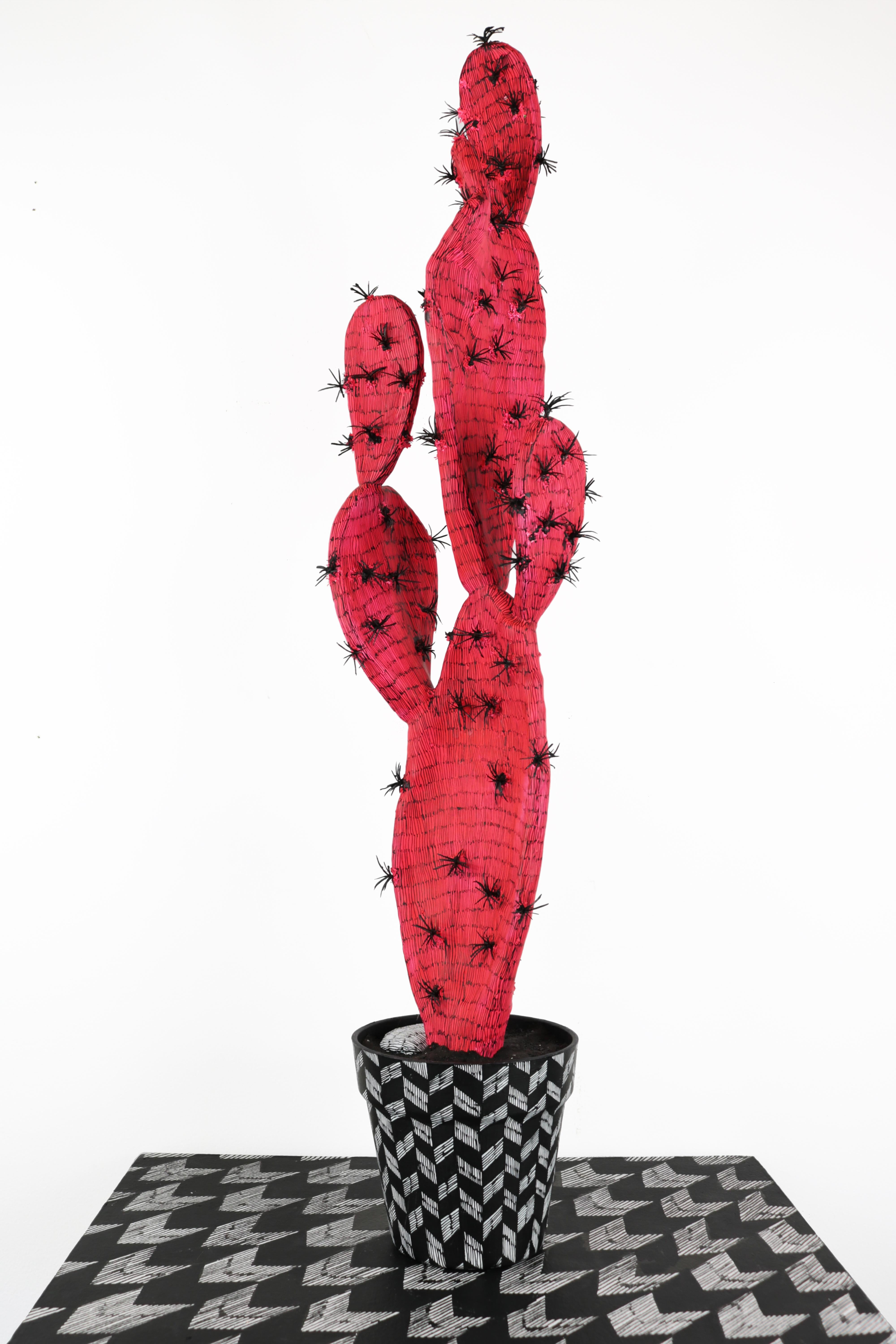 Anne Muntges Figurative Sculpture - Contemporary Conceptual Cactus Sculpture Plant Drawing Pink Female artist NYC