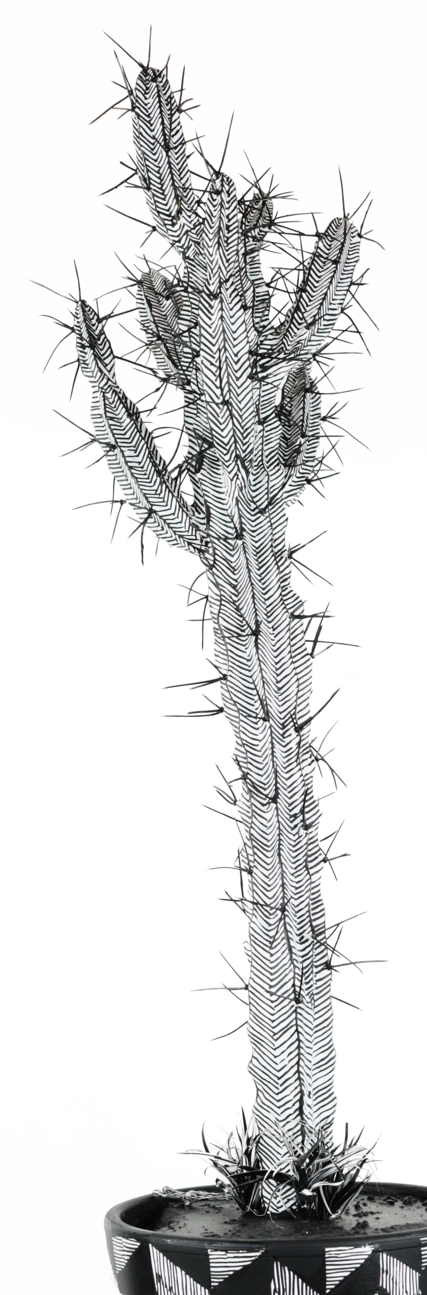 Contemporary Conceptual Cactus Sculpture Plant Drawing Pink Female artist NYC - Mixed Media Art by Anne Muntges